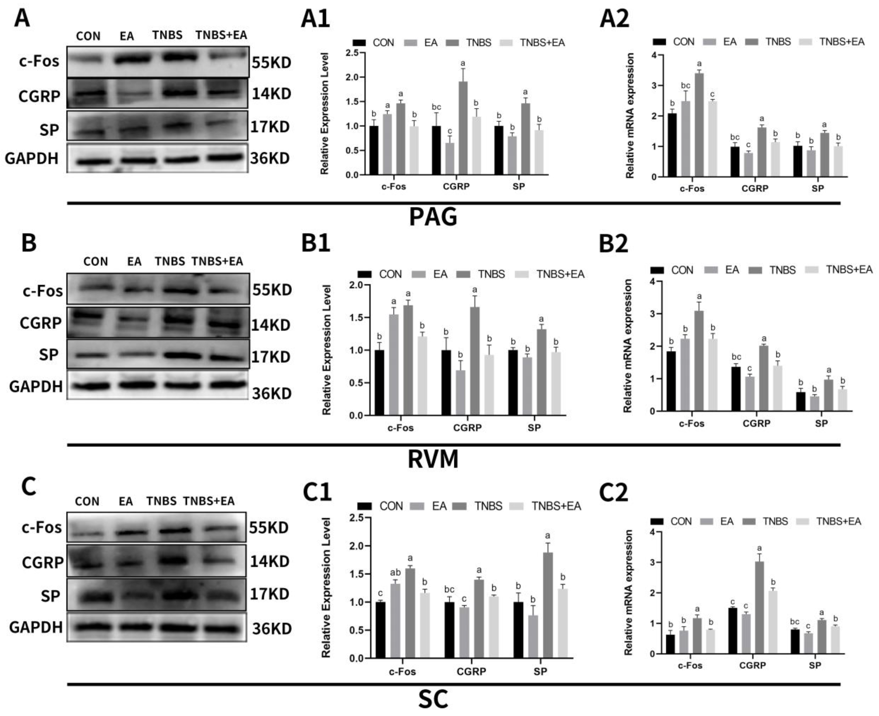 Brainsci 13 00922 g010