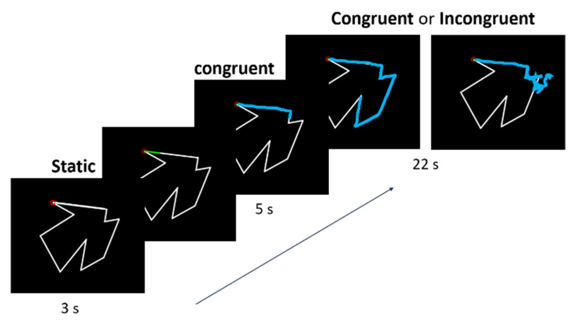 Brainsci 13 00931 g002 Brainsci 13 00931 g002