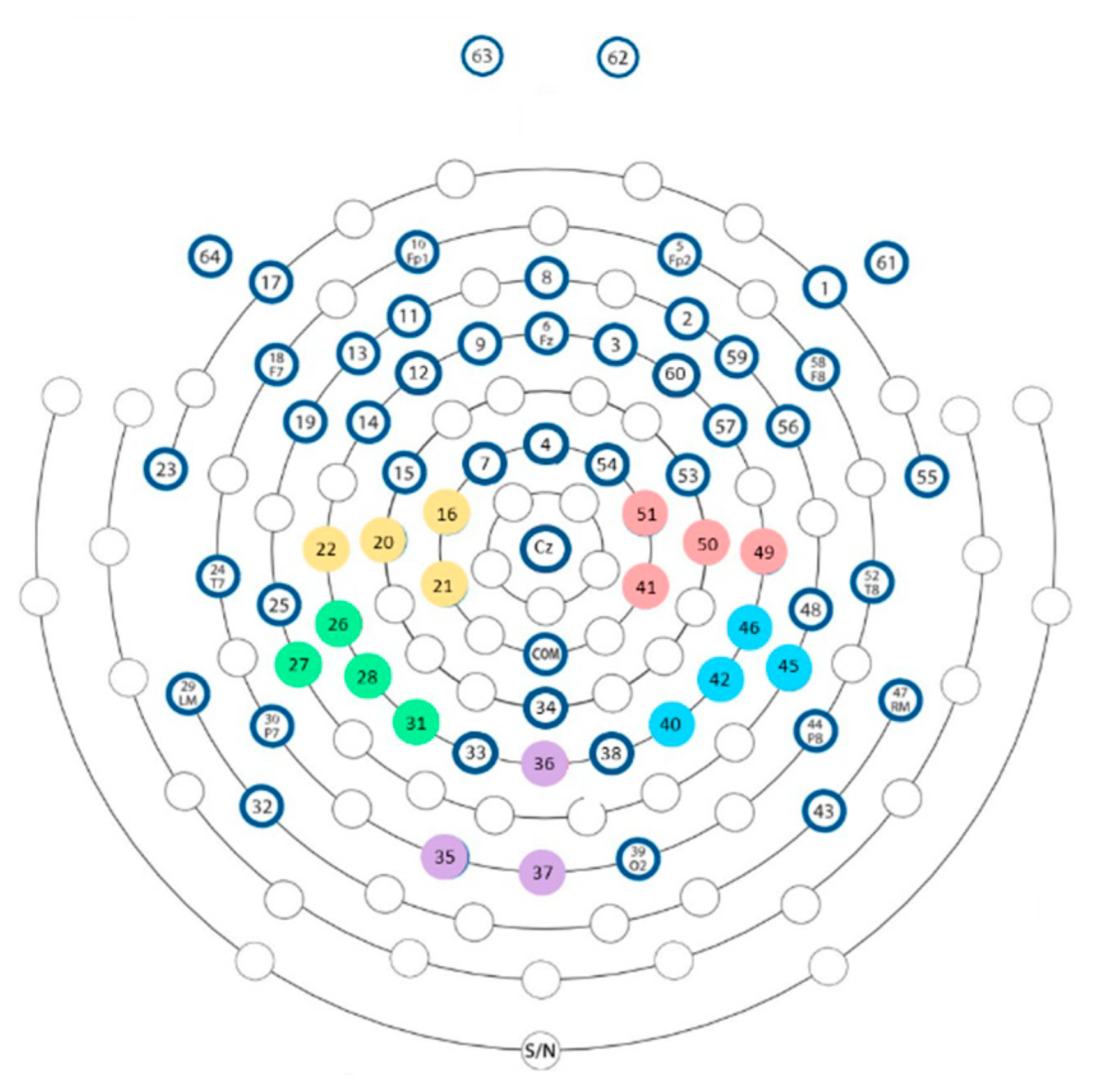 Brainsci 13 00931 g003 Brainsci 13 00931 g003