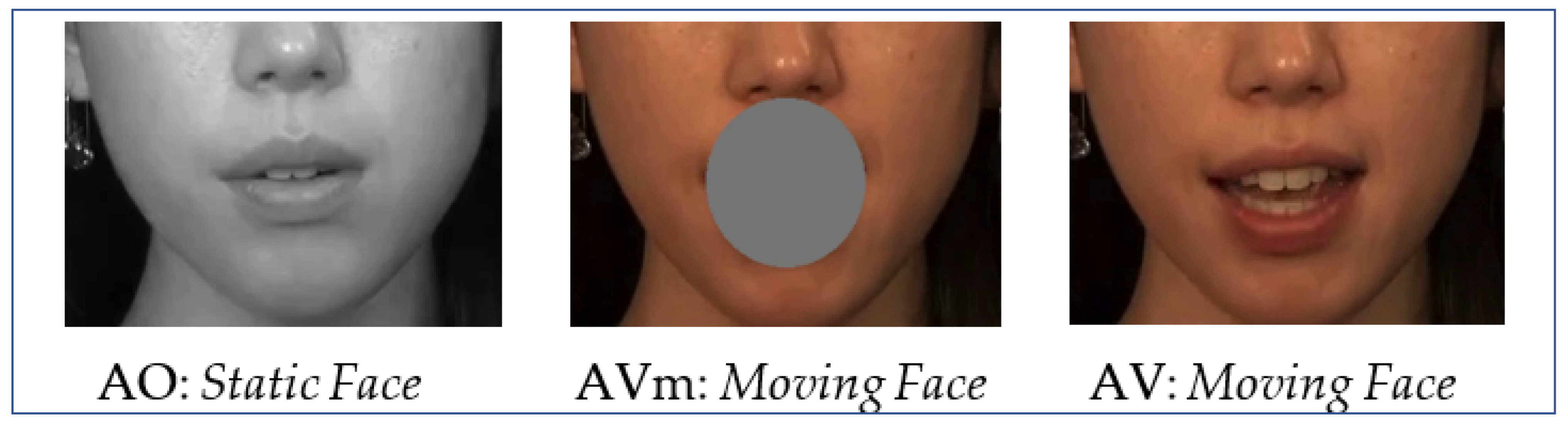 Brainsci 13 00932 g002