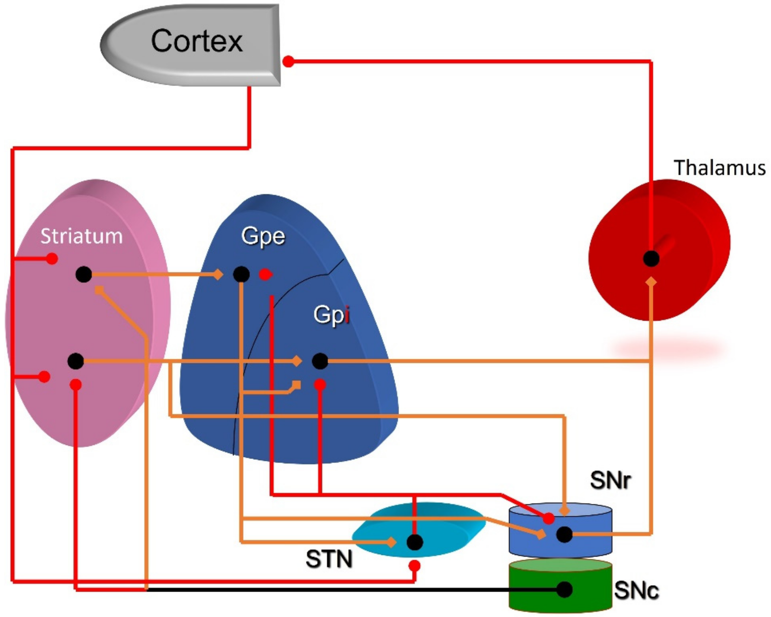Brainsci 13 00943 g001