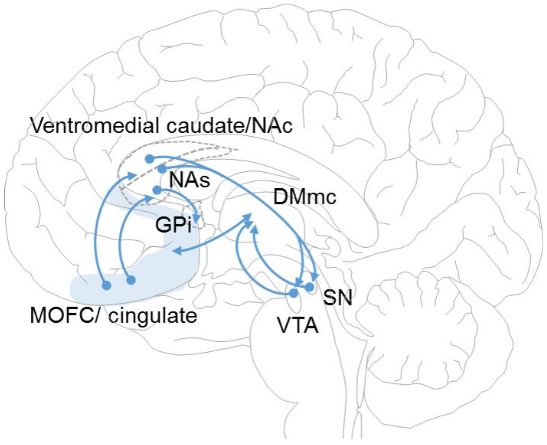 Brainsci 13 00943 g002