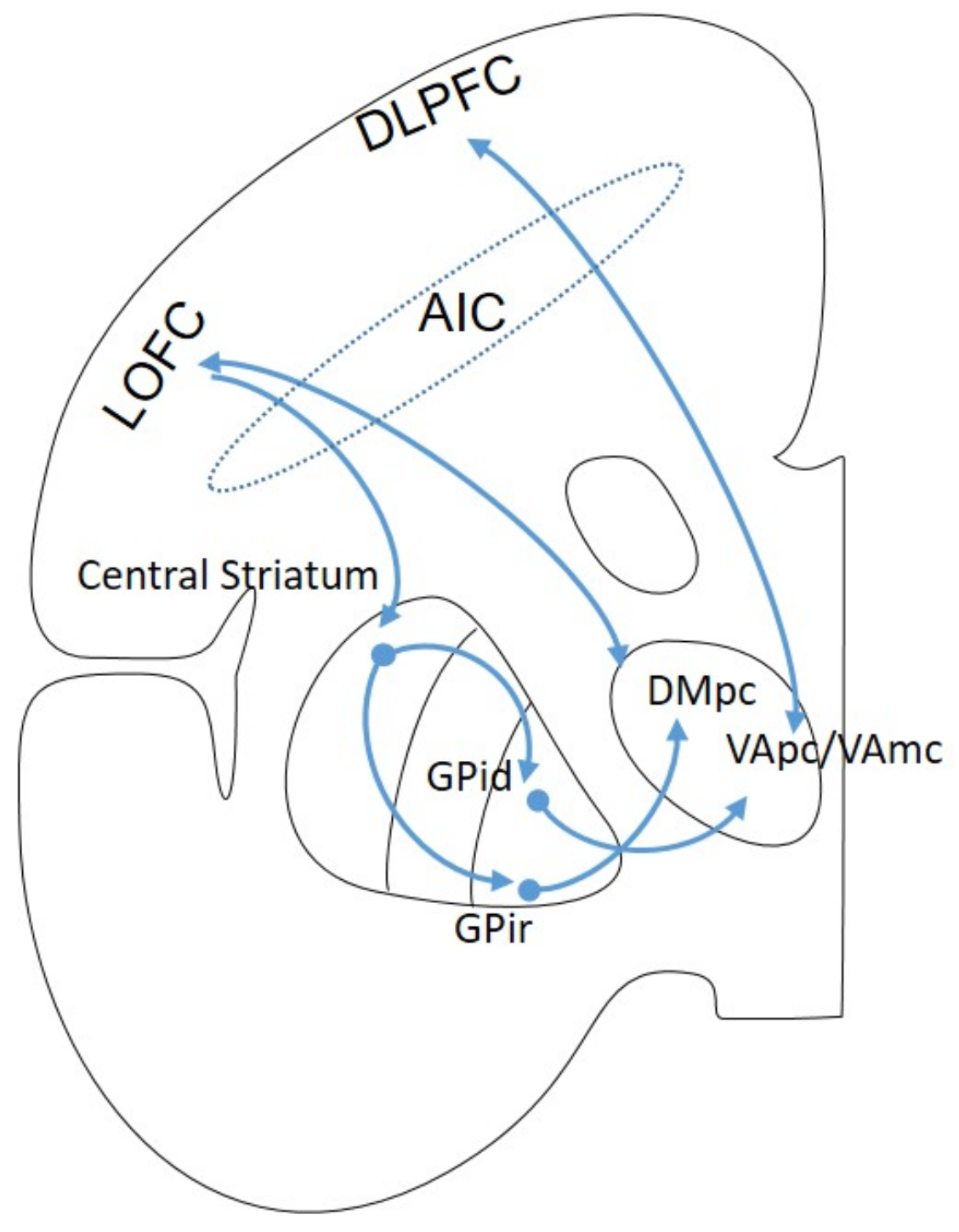 Brainsci 13 00943 g004
