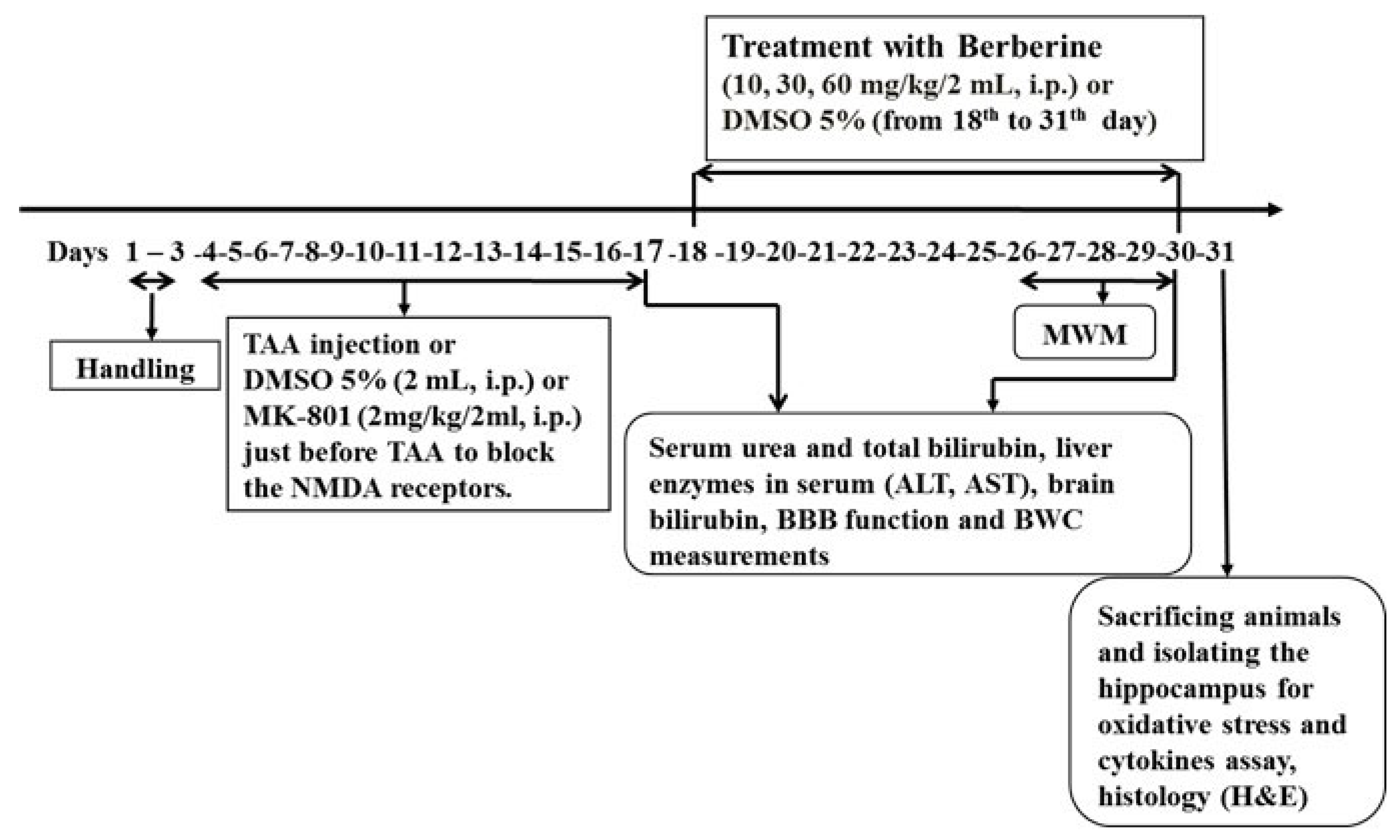 Brainsci 13 00944 g001 Brainsci 13 00944 g001
