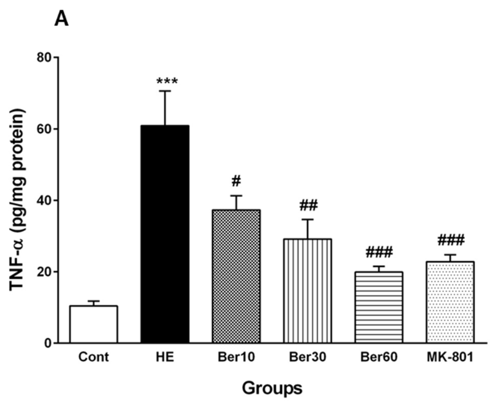 Brainsci 13 00944 g006a Brainsci 13 00944 g006a