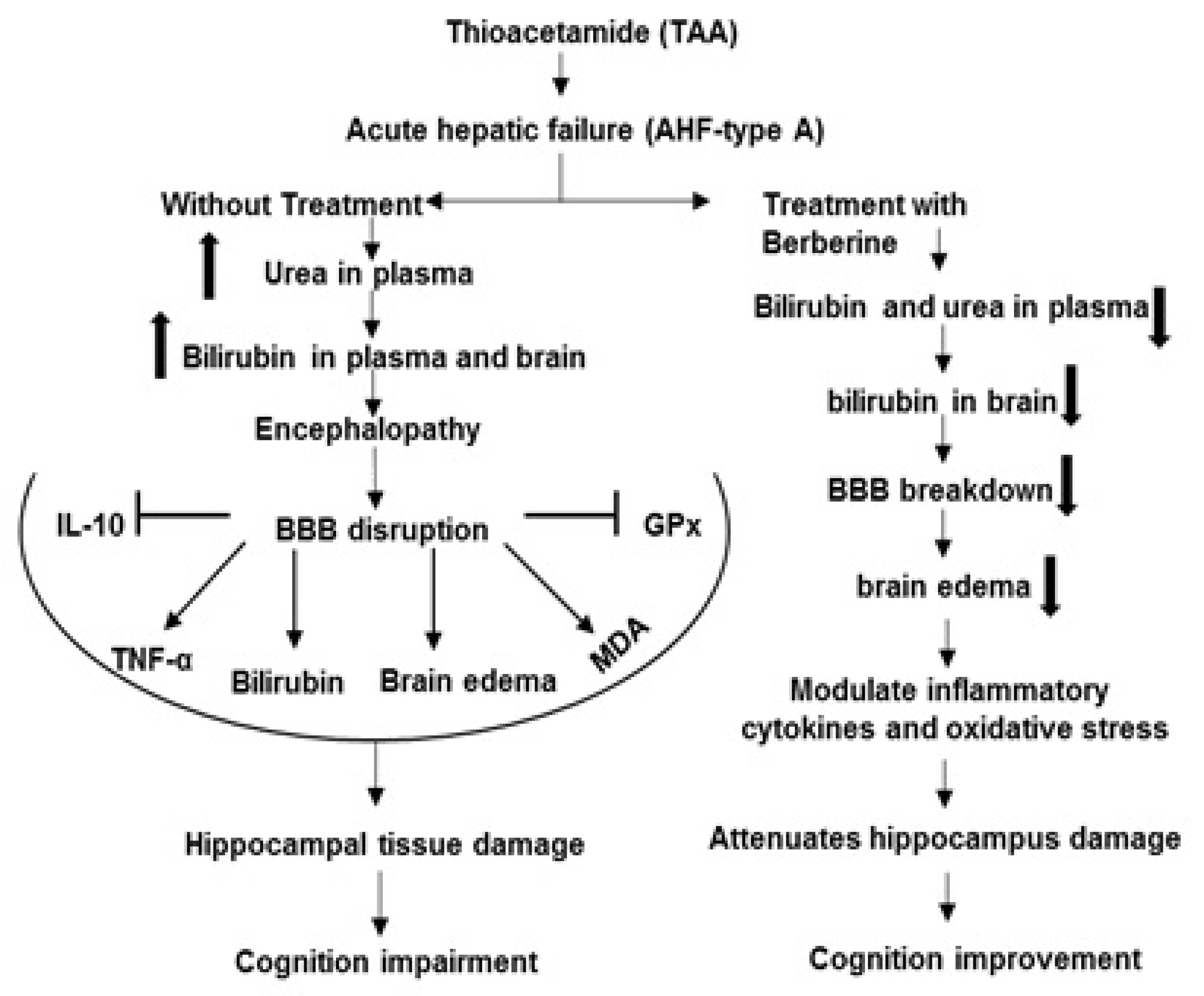 Brainsci 13 00944 g009 Brainsci 13 00944 g009