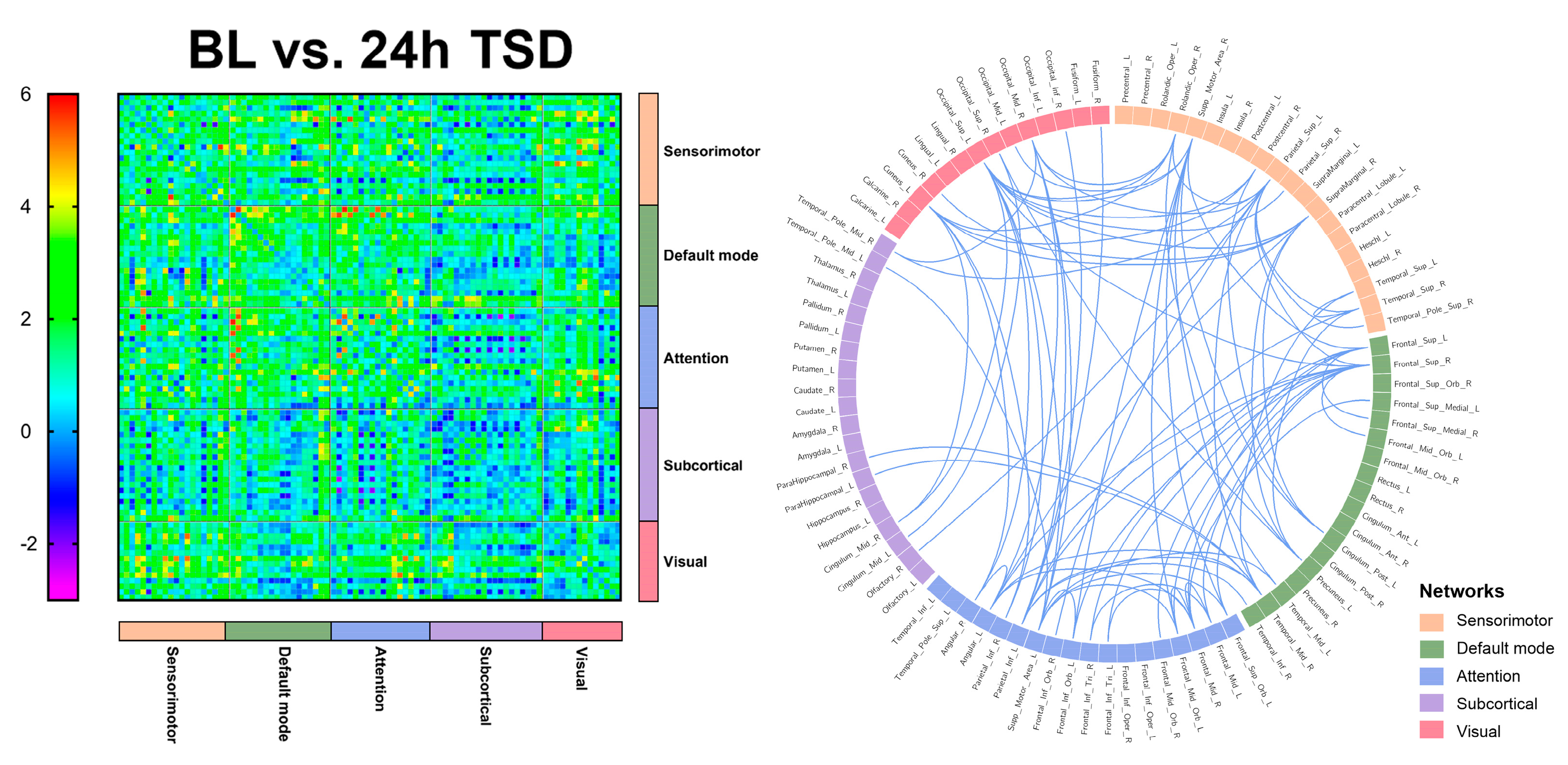 Brainsci 13 00949 g003 Brainsci 13 00949 g003