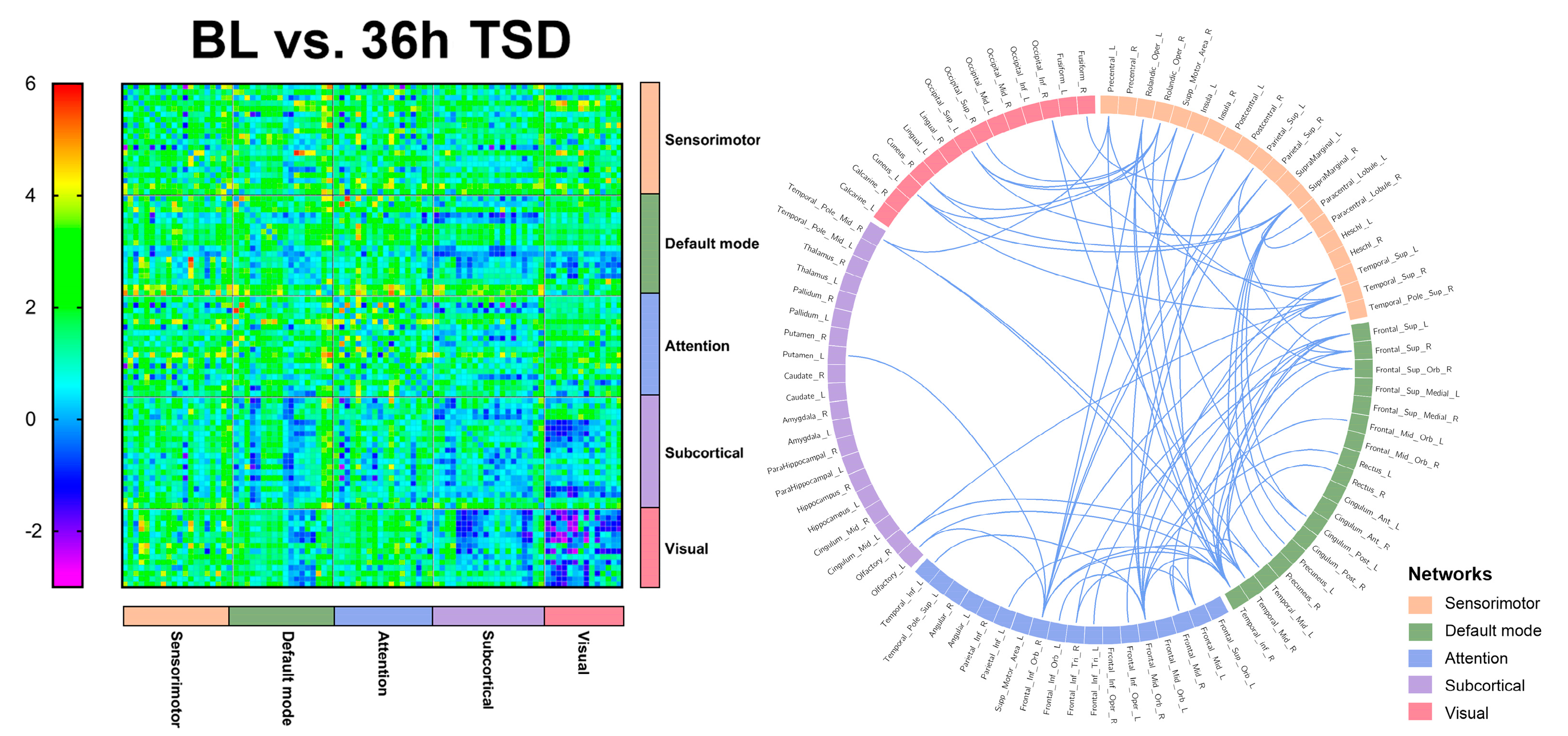 Brainsci 13 00949 g004 Brainsci 13 00949 g004