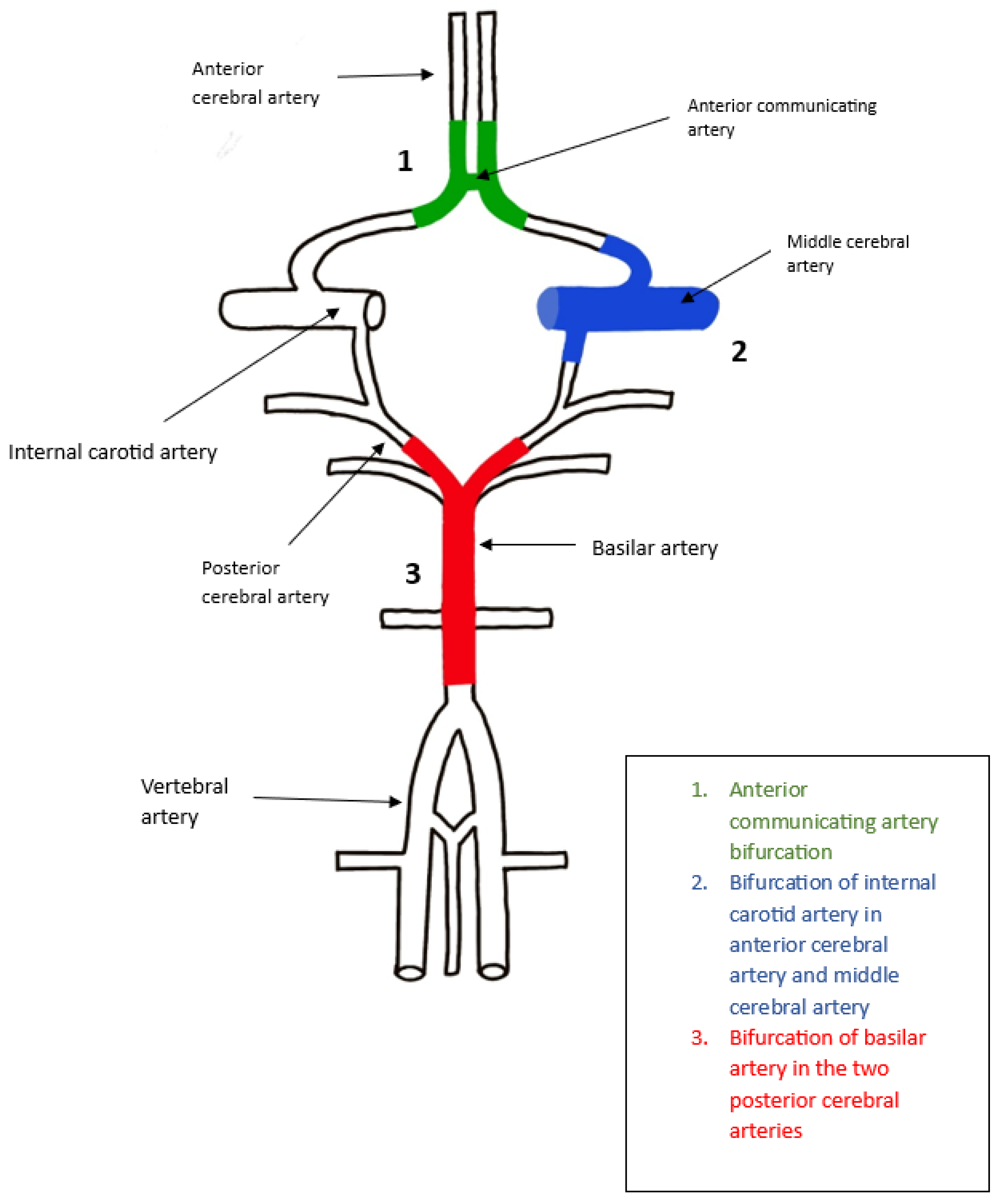 Brain Sciences Free FullText Perspectives and Implications of