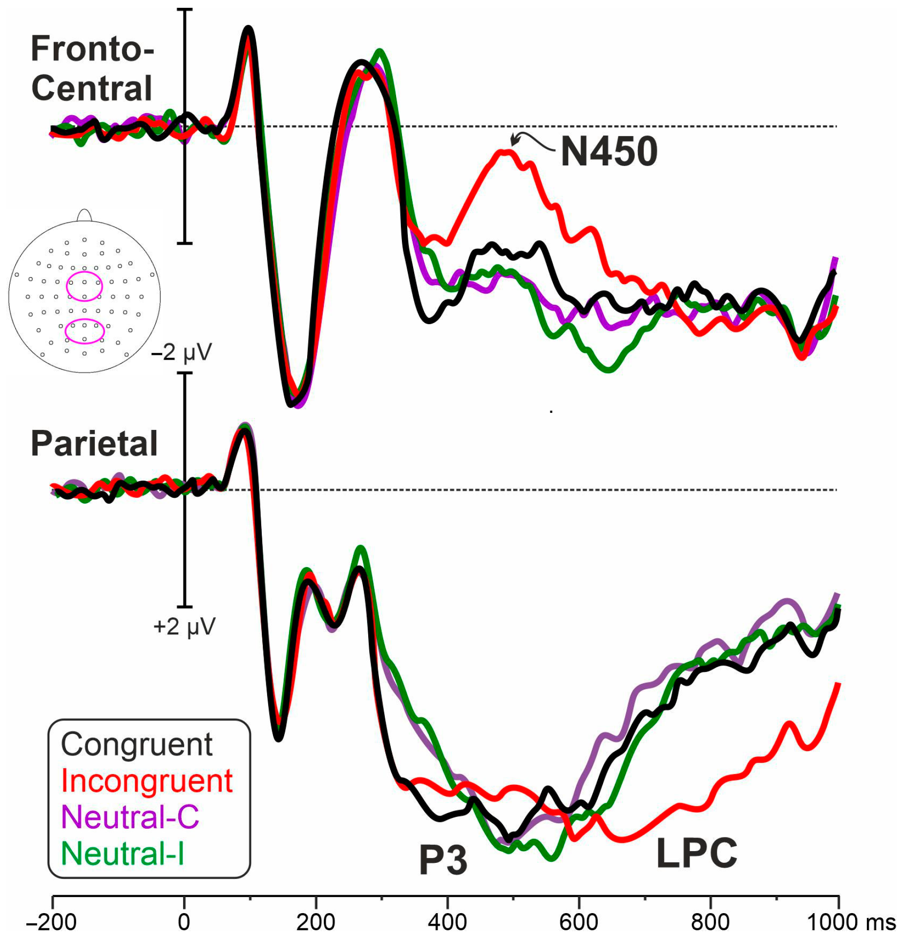 Brainsci 13 00982 g001 Brainsci 13 00982 g001