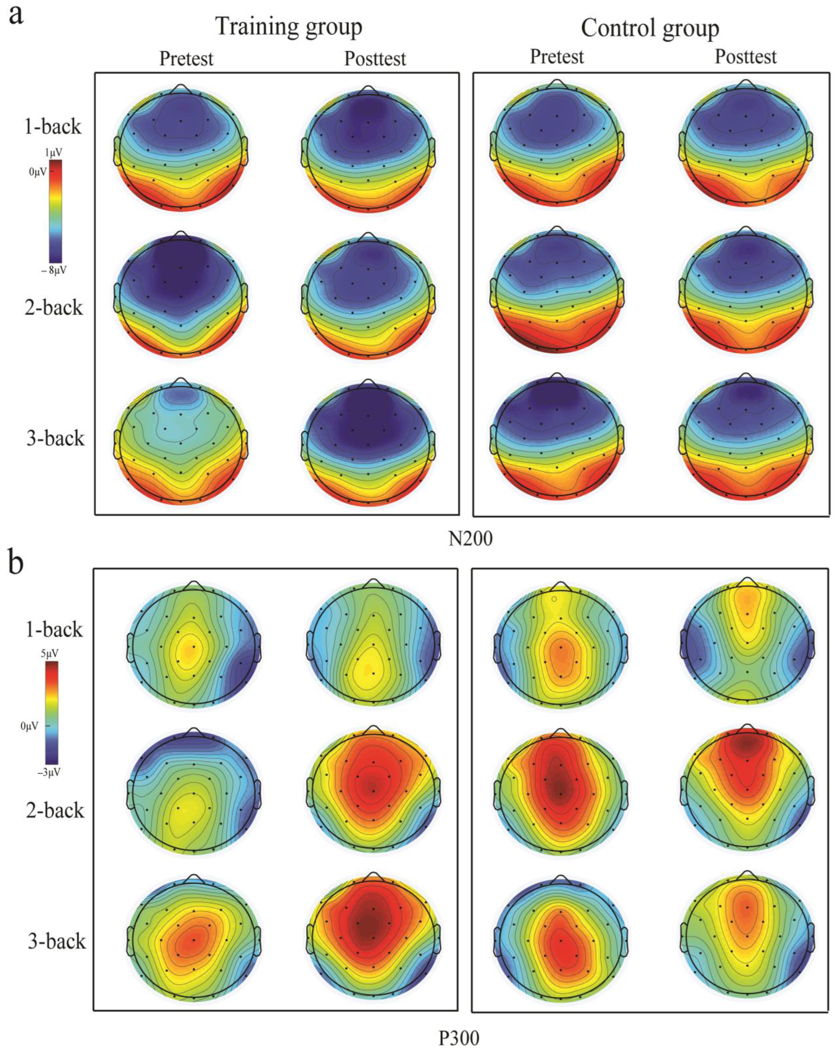 Brainsci 13 00992 g007 Brainsci 13 00992 g007