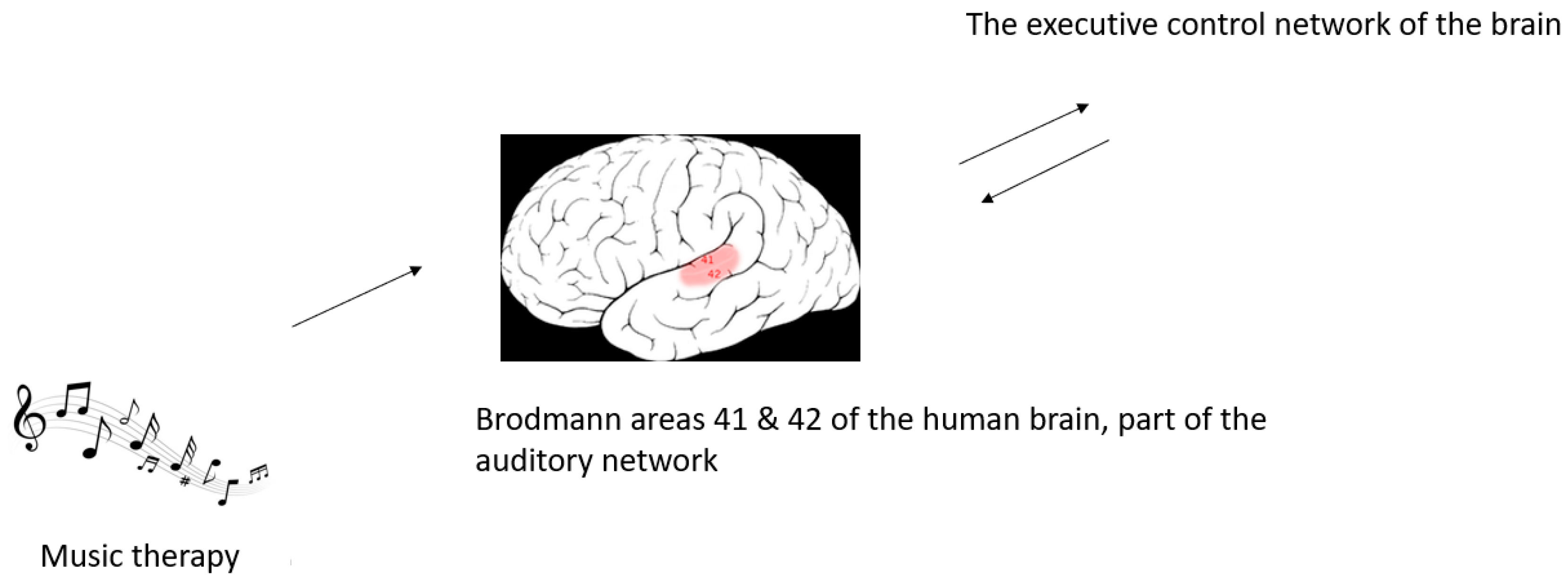 Brainsci 13 00993 g001 Brainsci 13 00993 g001