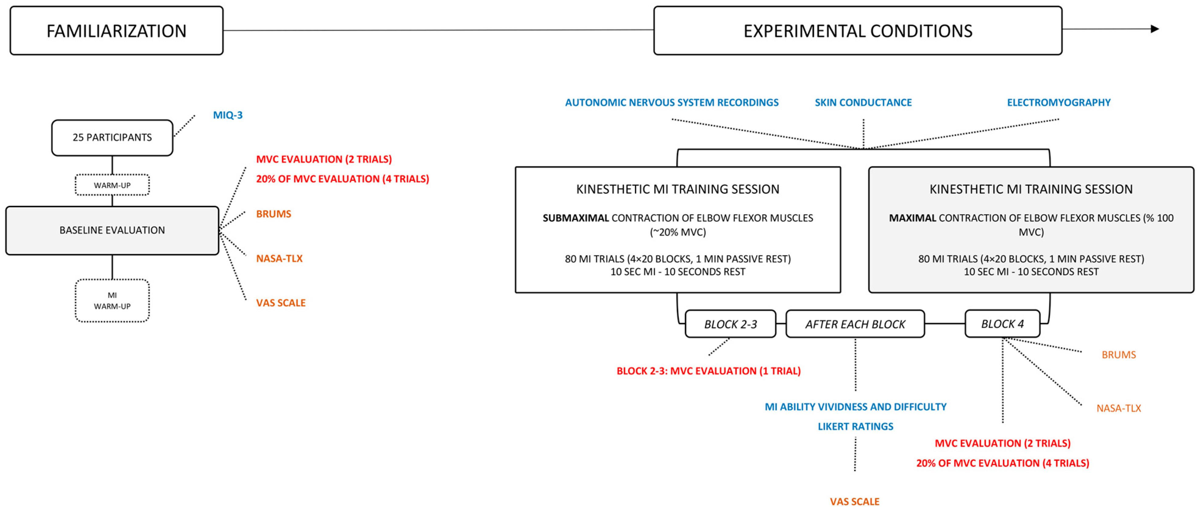 Brainsci 13 00996 g001