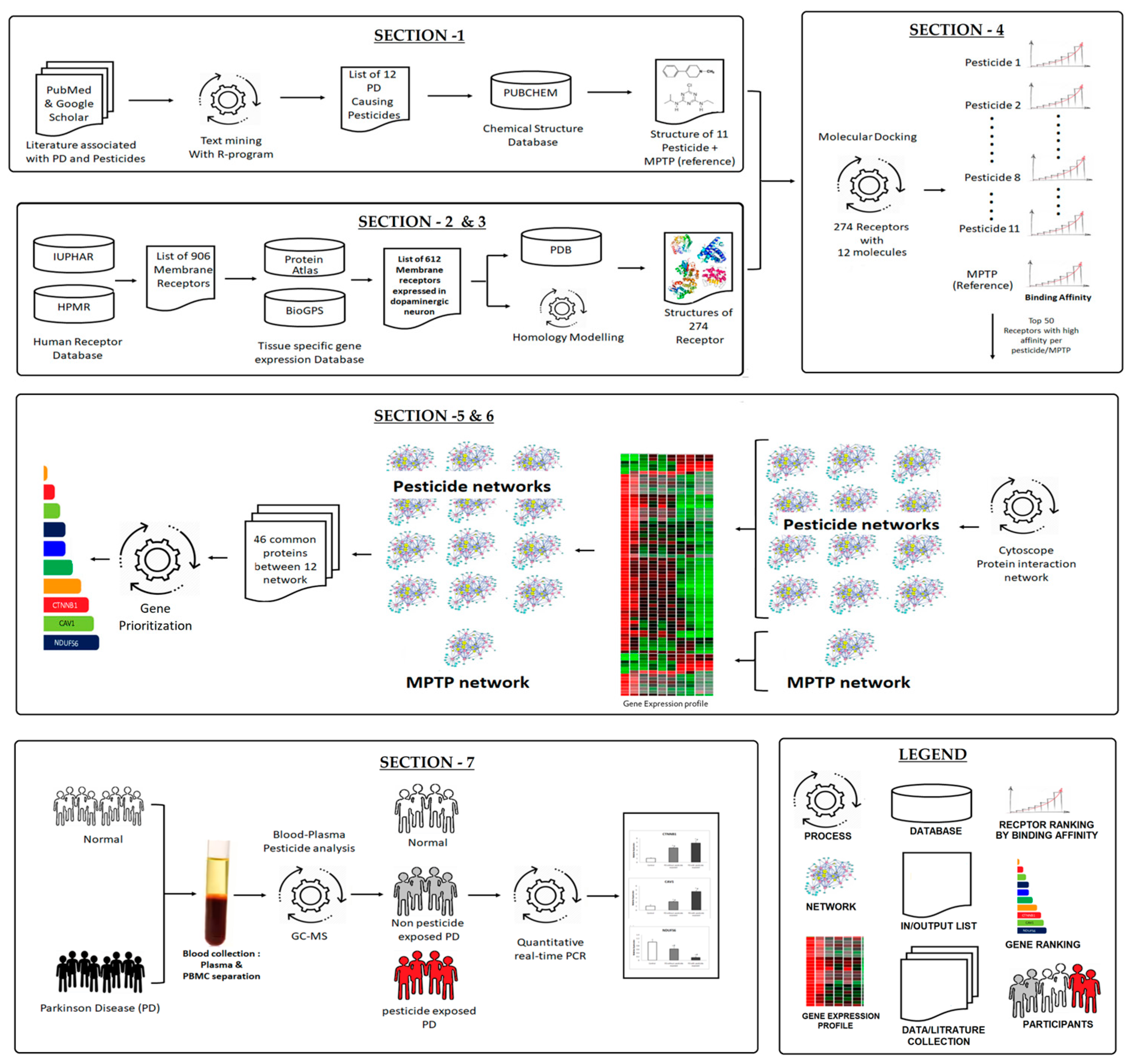 Brainsci 13 01003 g001 Brainsci 13 01003 g001
