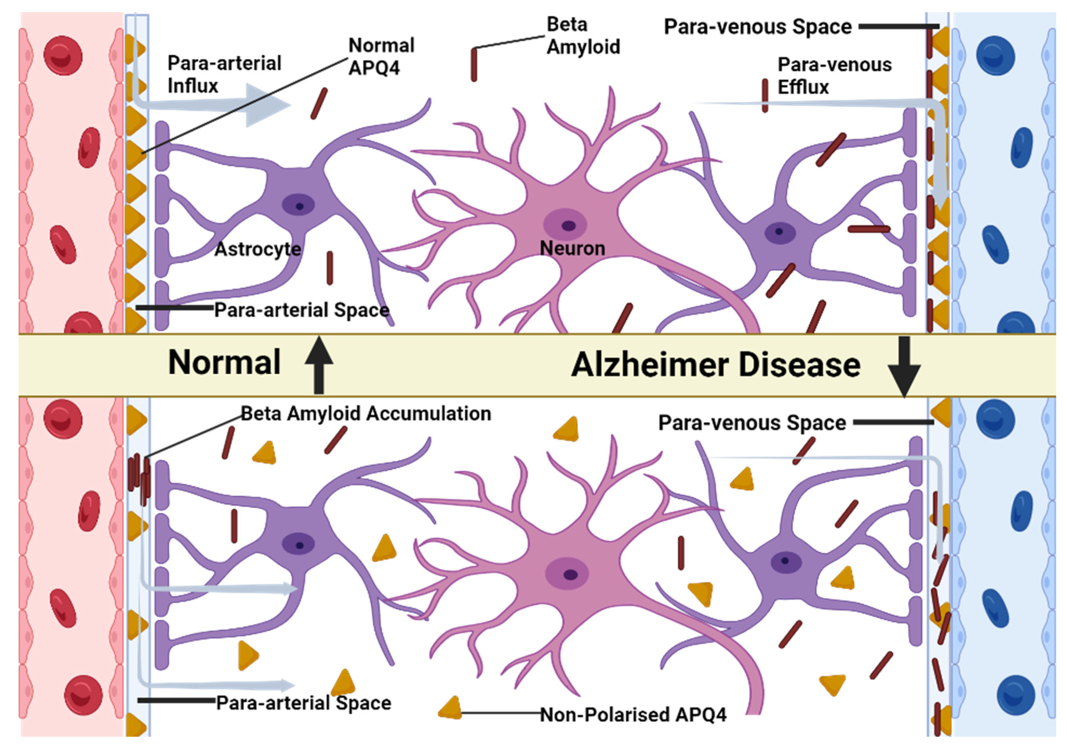 Brainsci 13 01005 g002