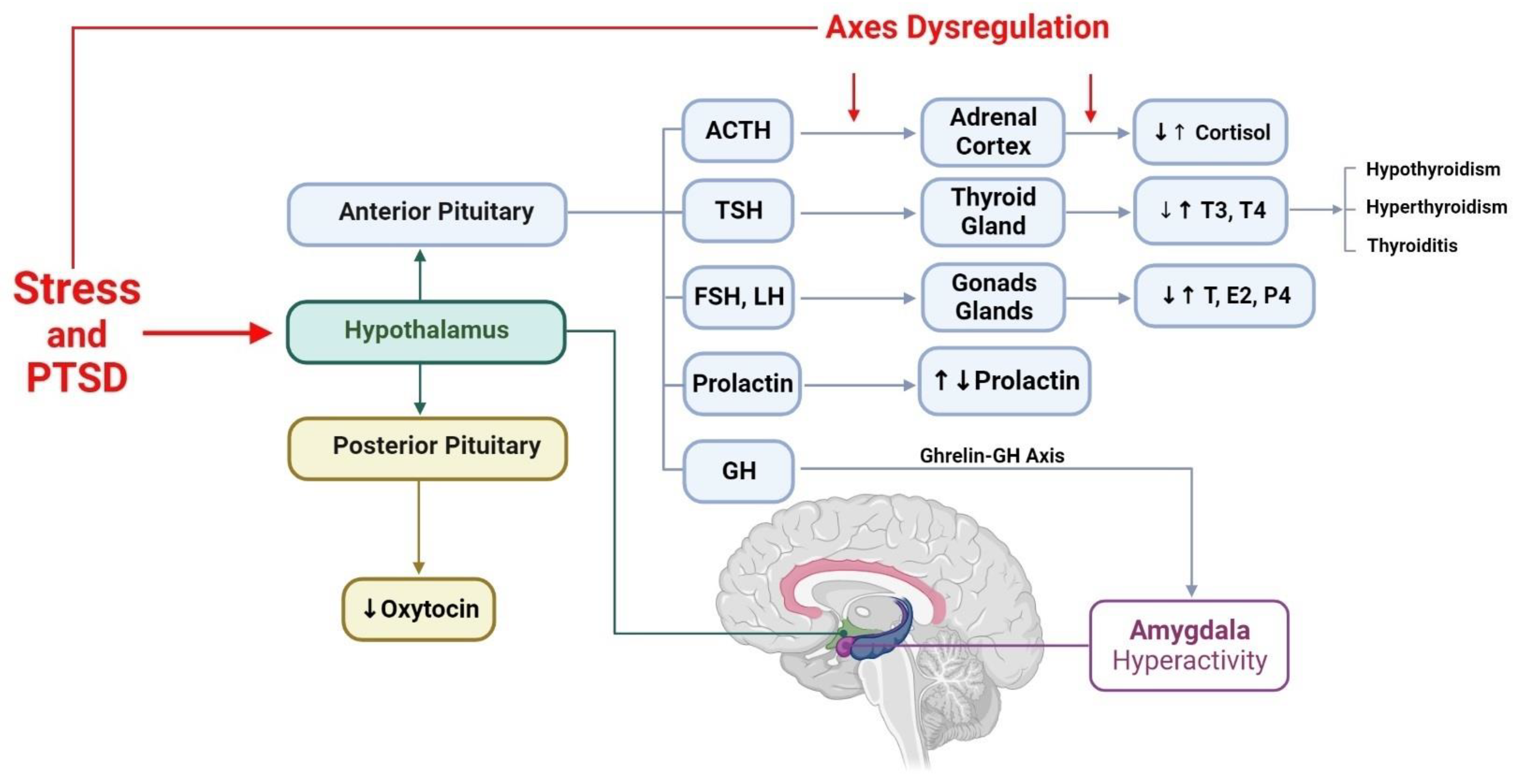 Brainsci 13 01010 g005 Brainsci 13 01010 g005
