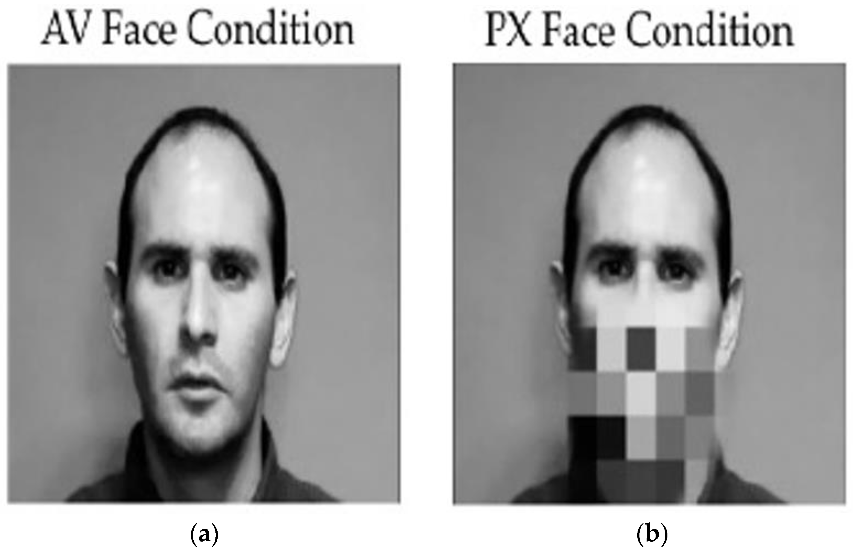Brainsci 13 01011 g002