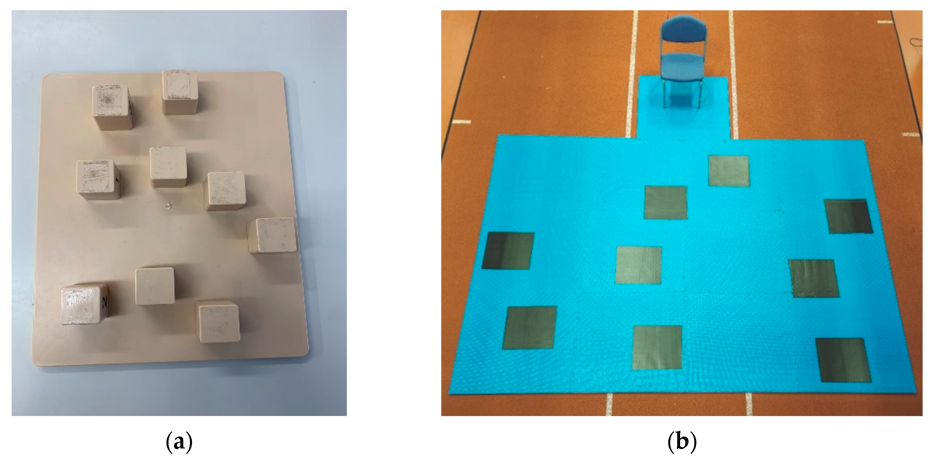 Brainsci 13 01019 g001