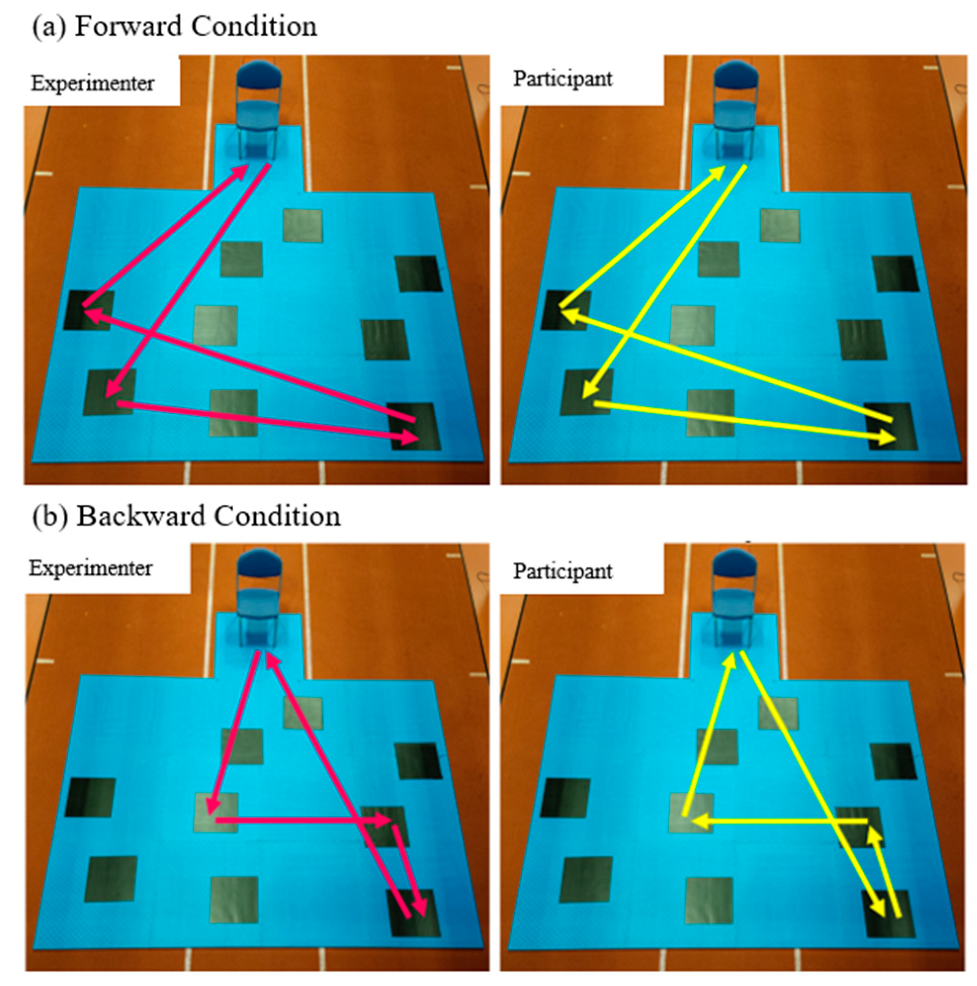 Brainsci 13 01019 g002