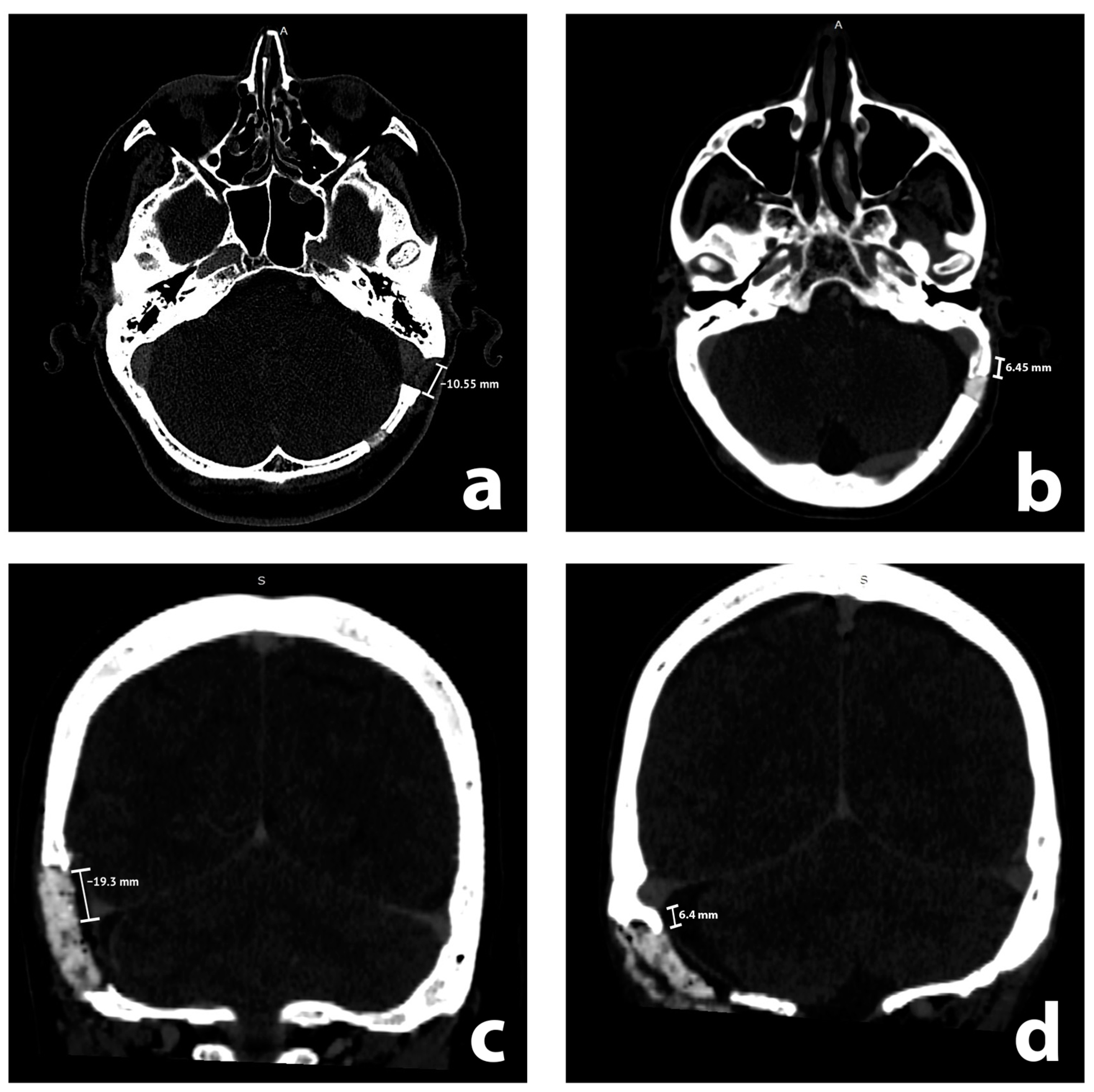 Brainsci 13 01039 g001