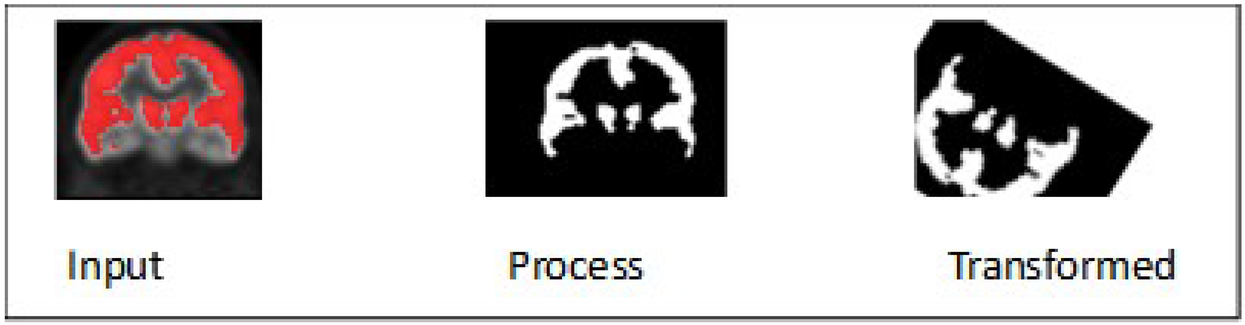 Brainsci 13 01045 g005