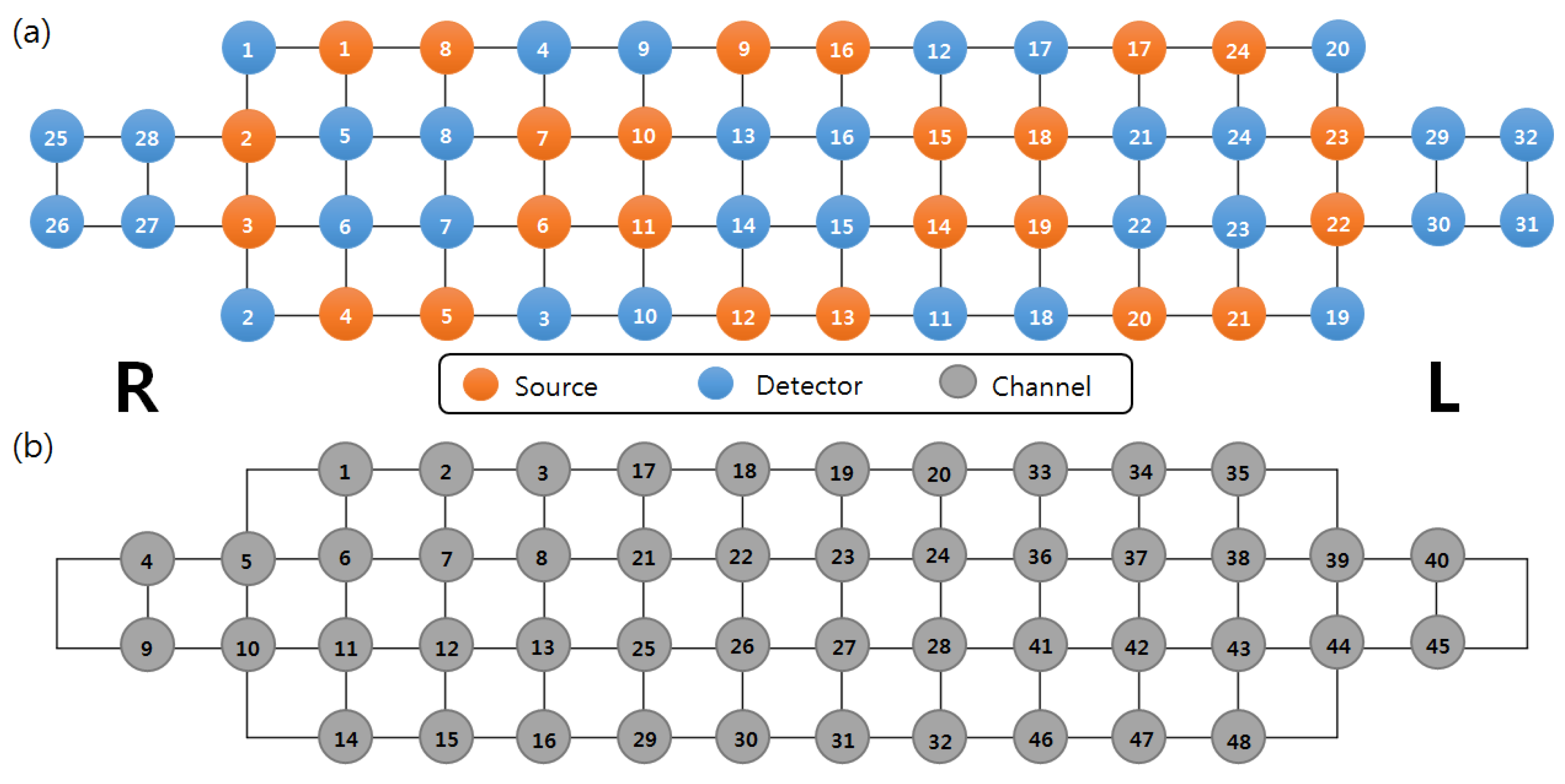 Brainsci 13 01054 g001 Brainsci 13 01054 g001