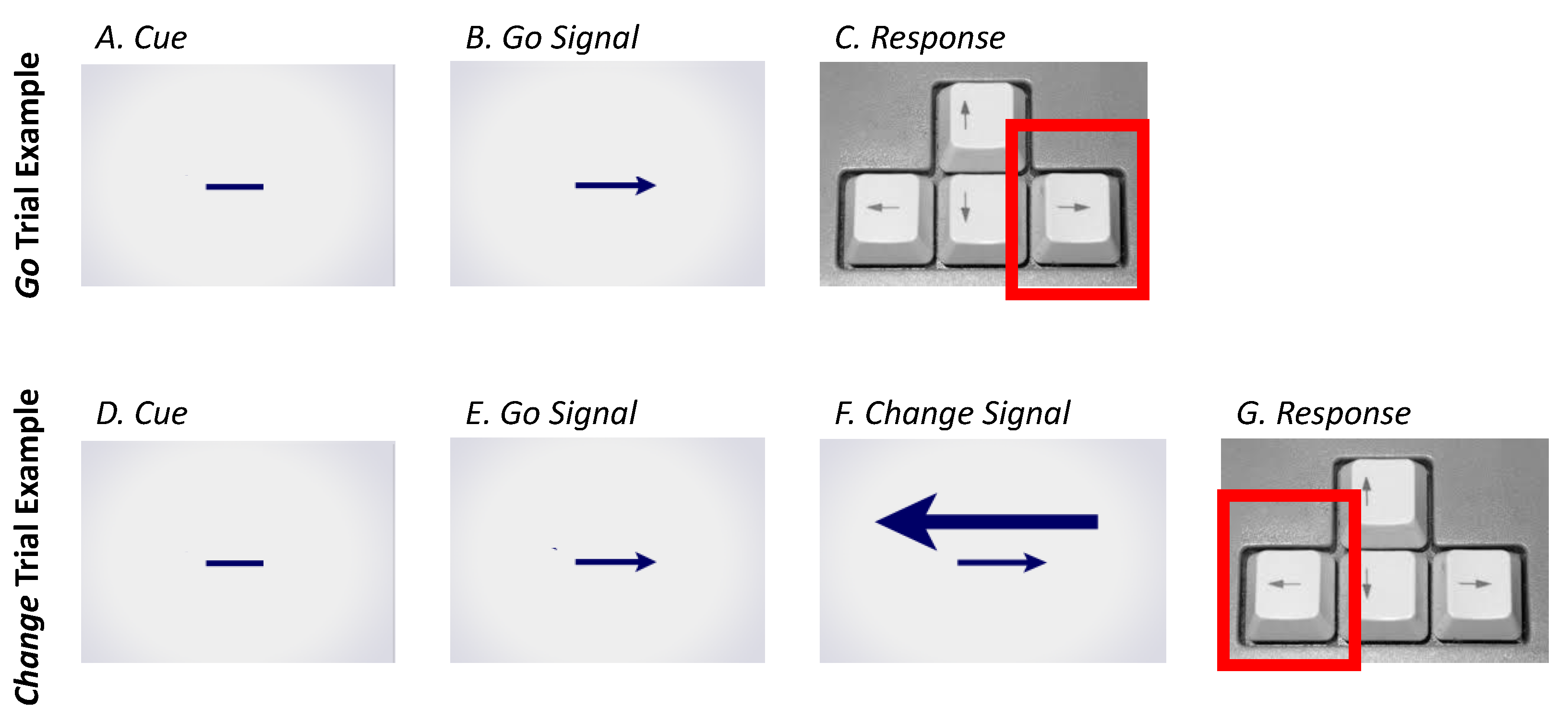 Brainsci 13 01062 g002 Brainsci 13 01062 g002