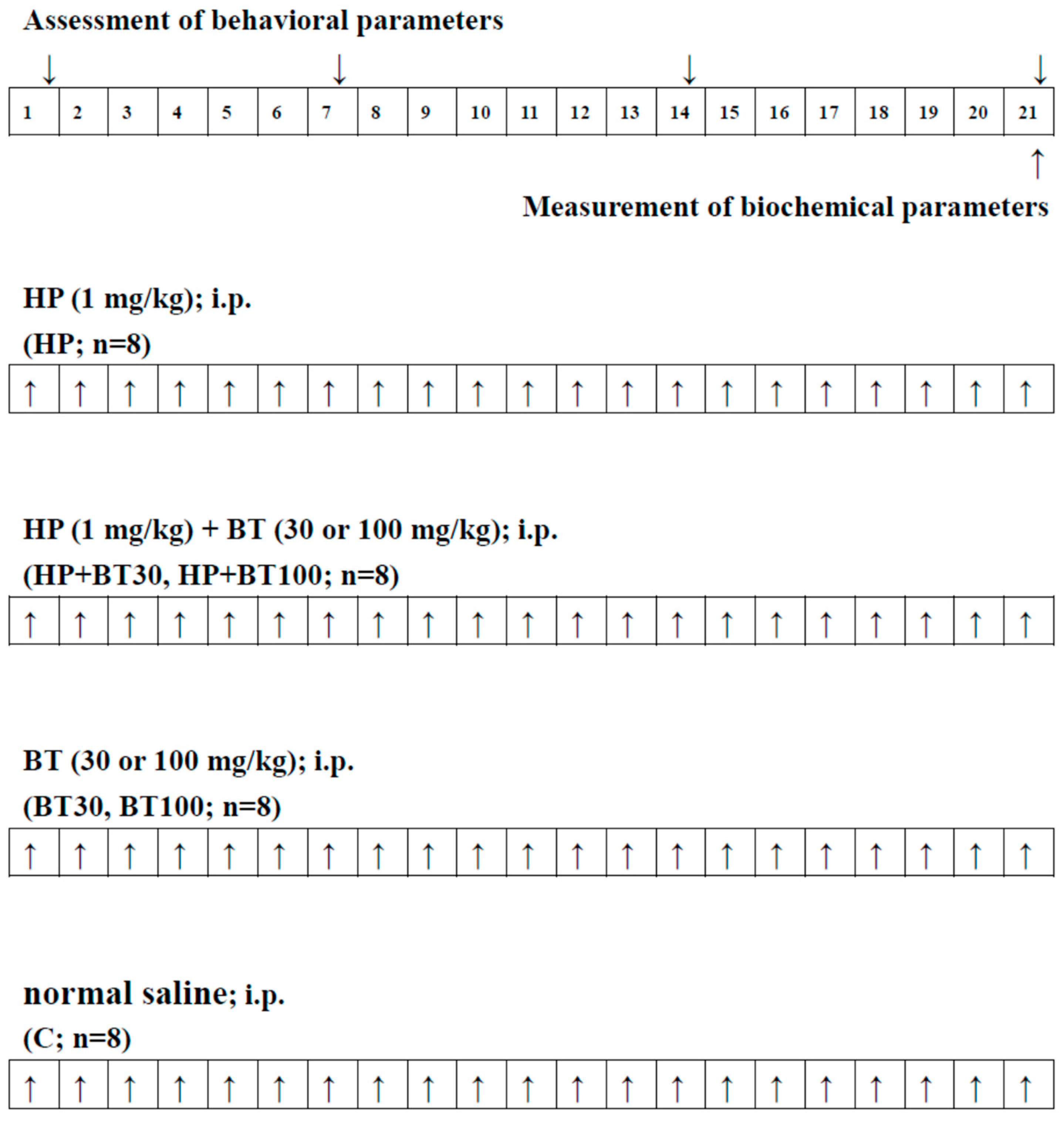 Brainsci 13 01064 g001 Brainsci 13 01064 g001