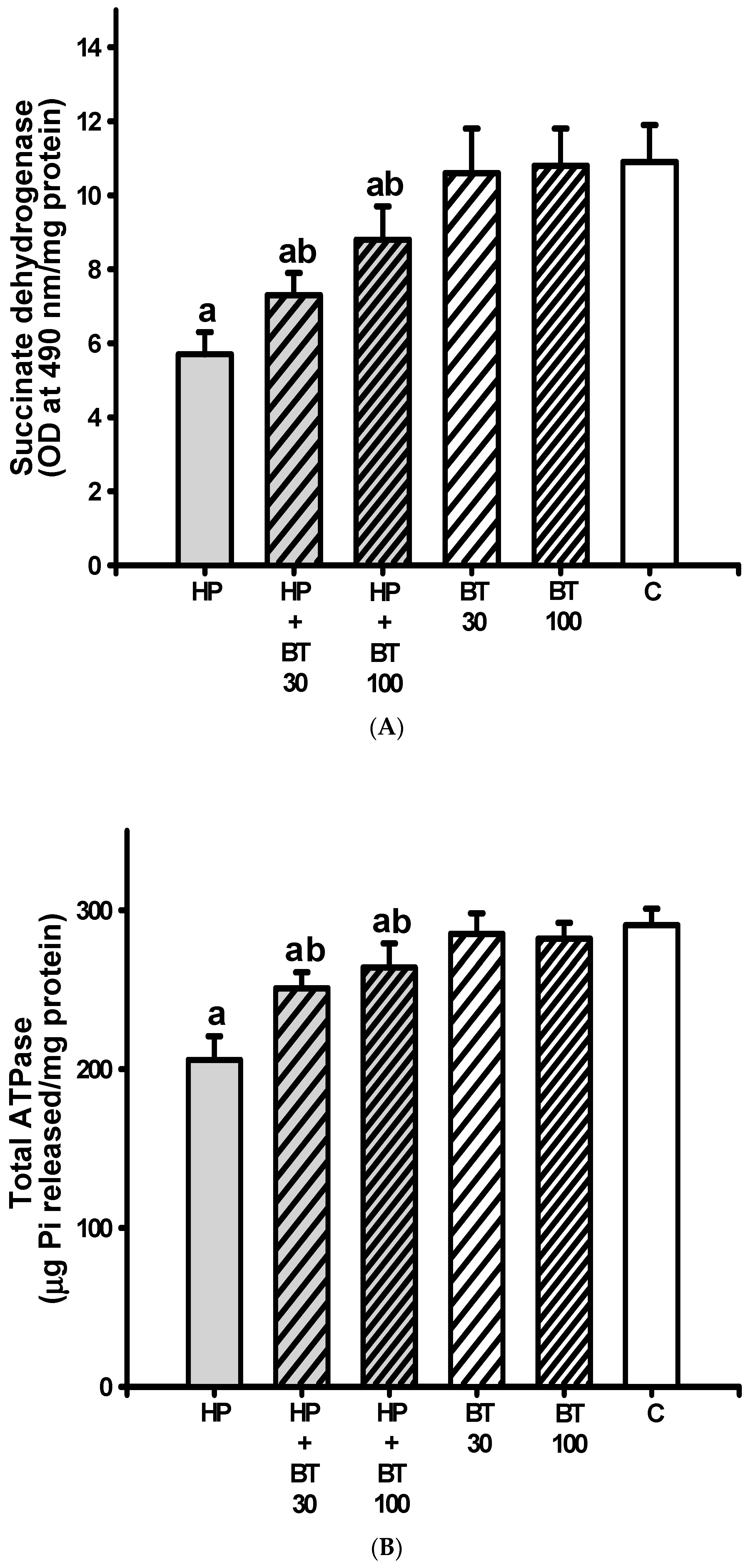 Brainsci 13 01064 g005a Brainsci 13 01064 g005a
