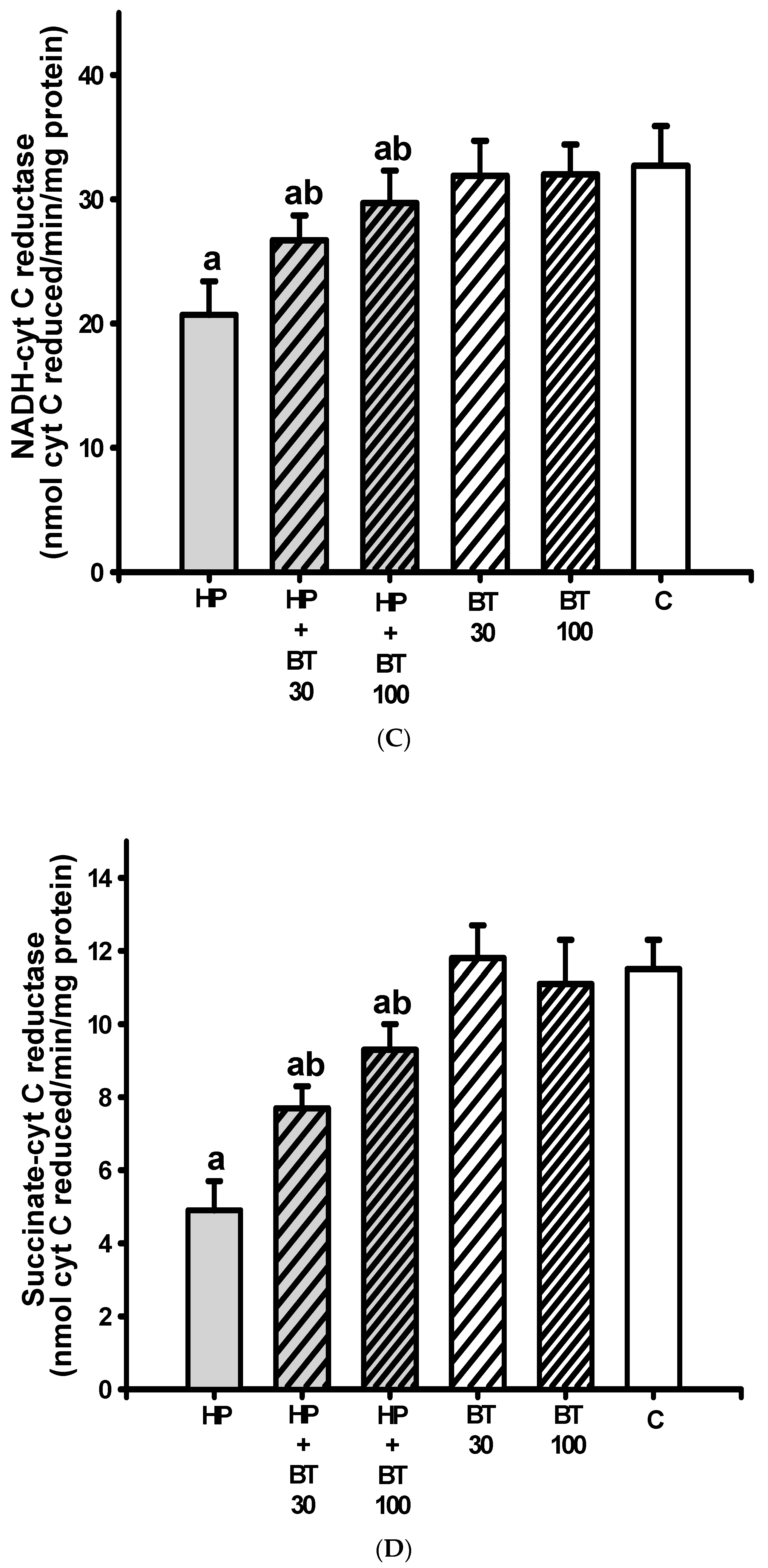 Brainsci 13 01064 g005b Brainsci 13 01064 g005b