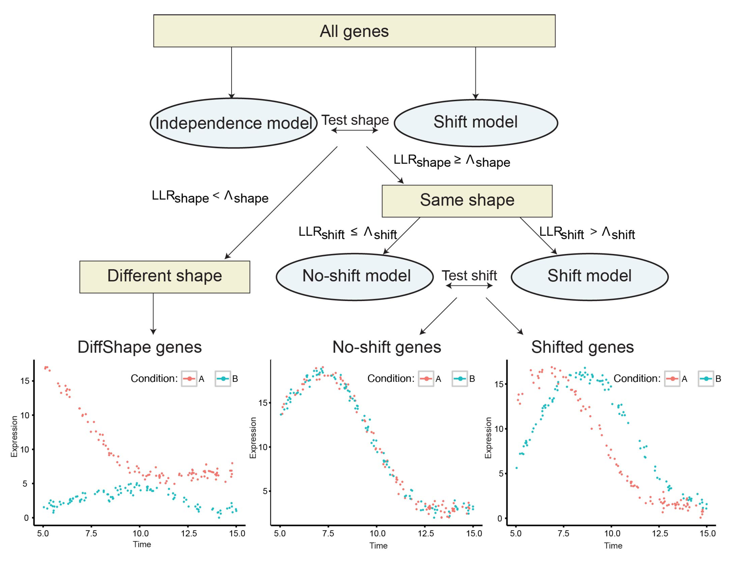 Brainsci 13 01070 g001