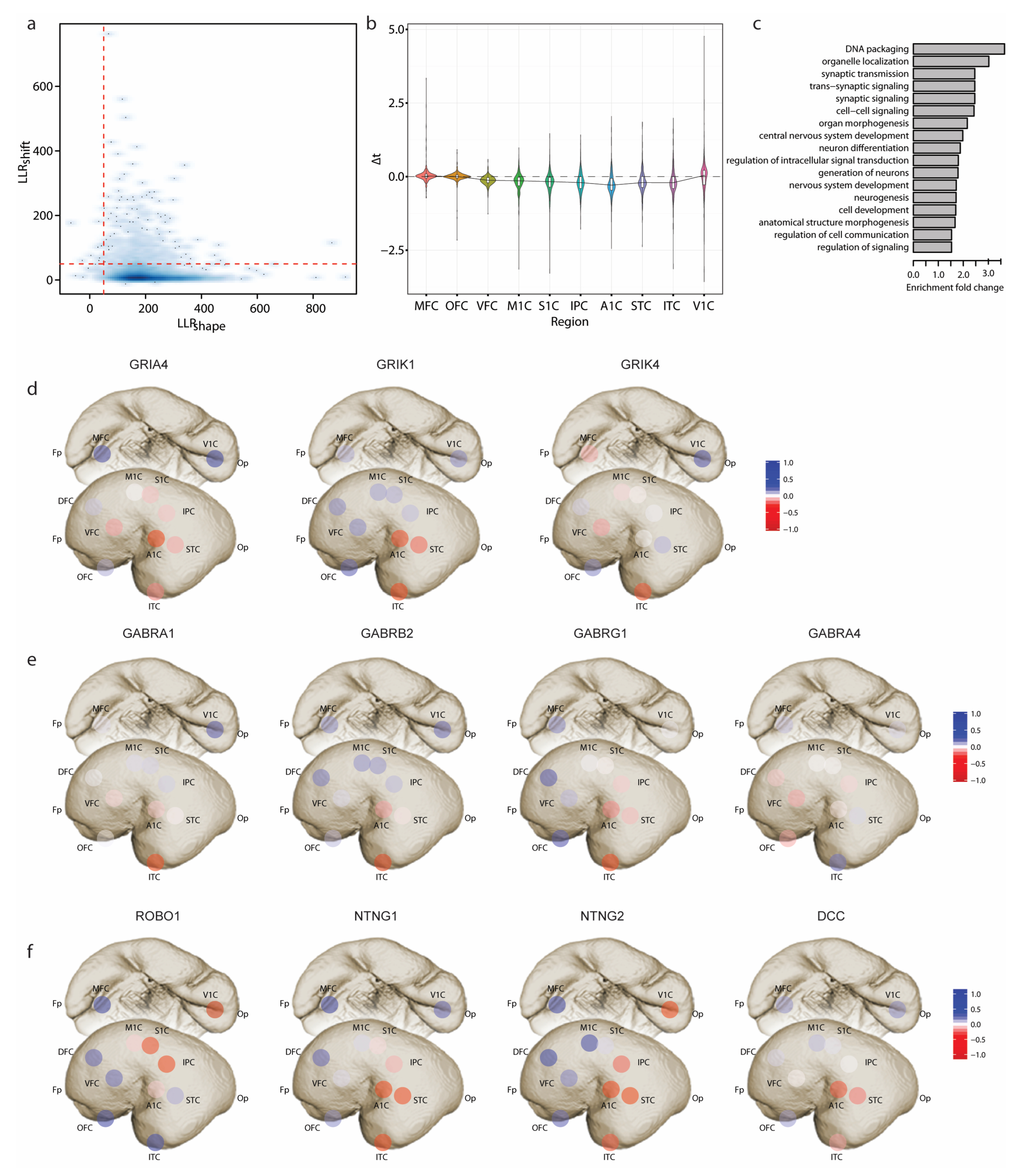 Brainsci 13 01070 g004