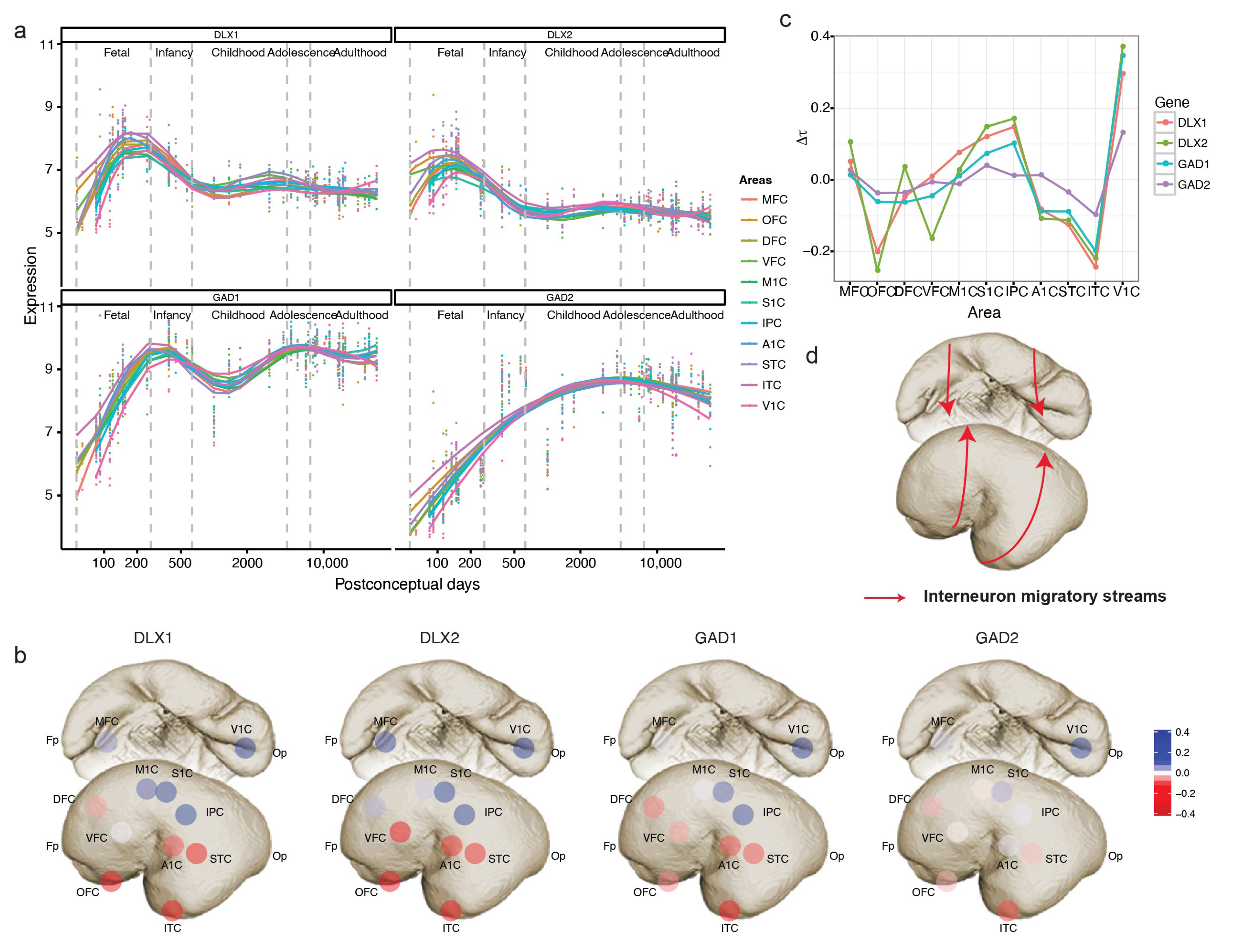 Brainsci 13 01070 g005