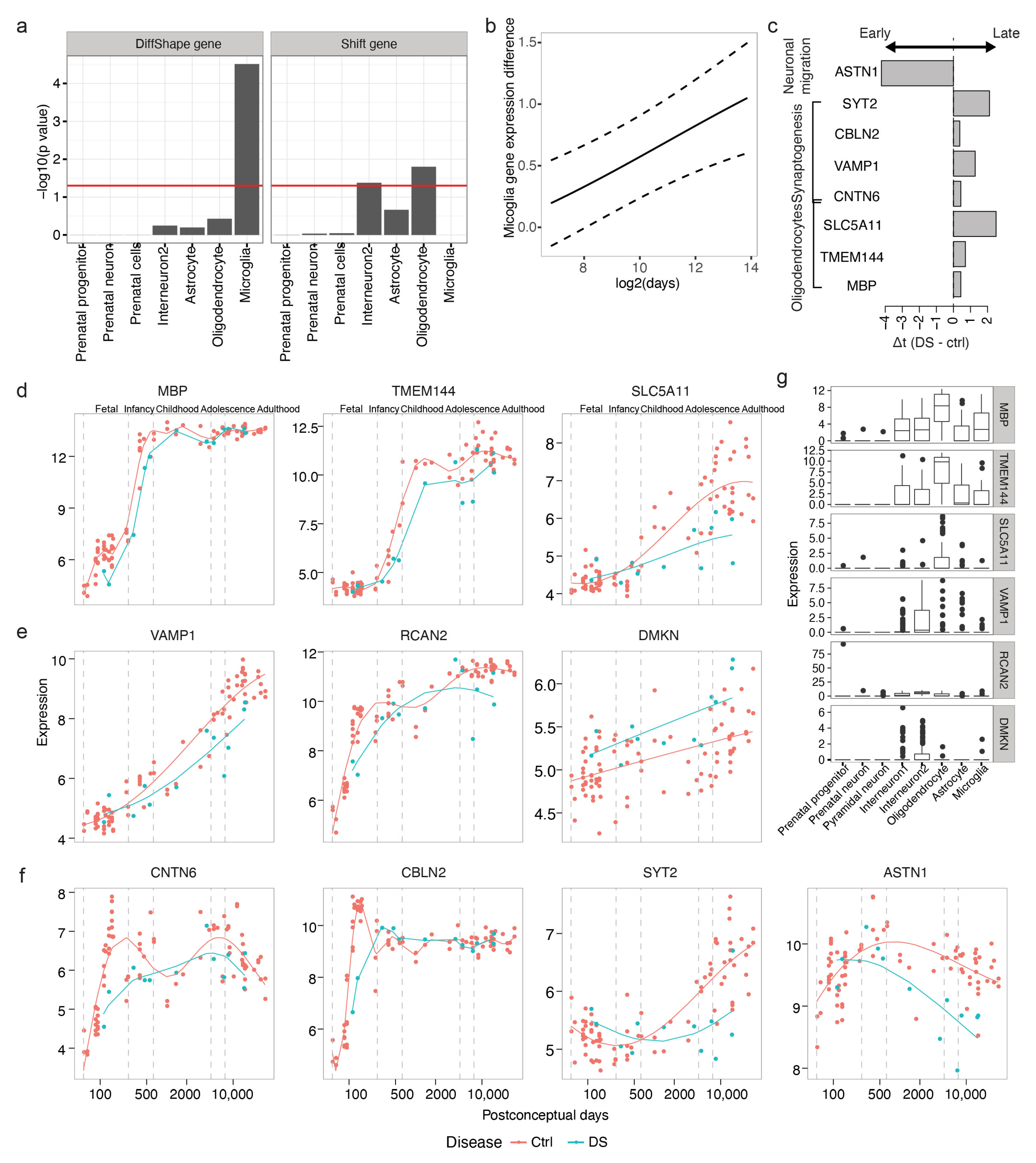 Brainsci 13 01070 g006