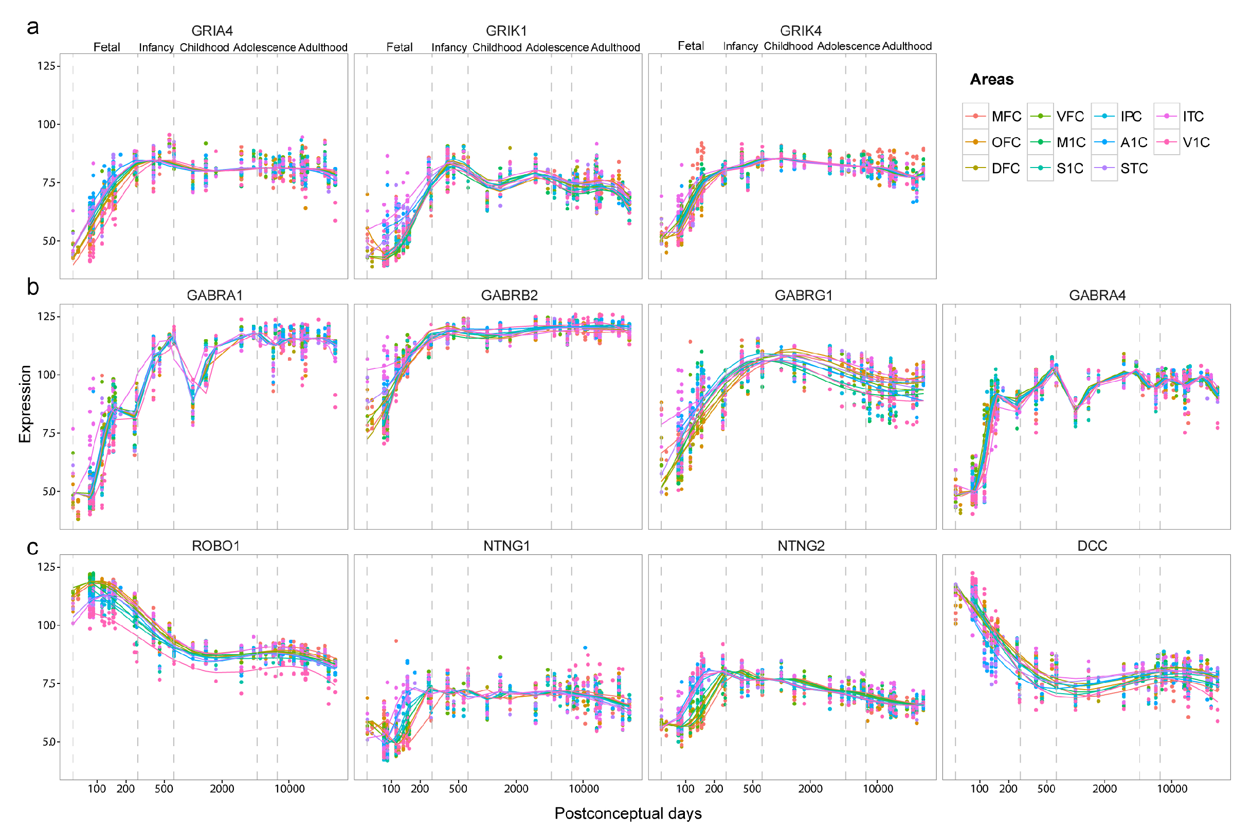 Brainsci 13 01070 g0a1