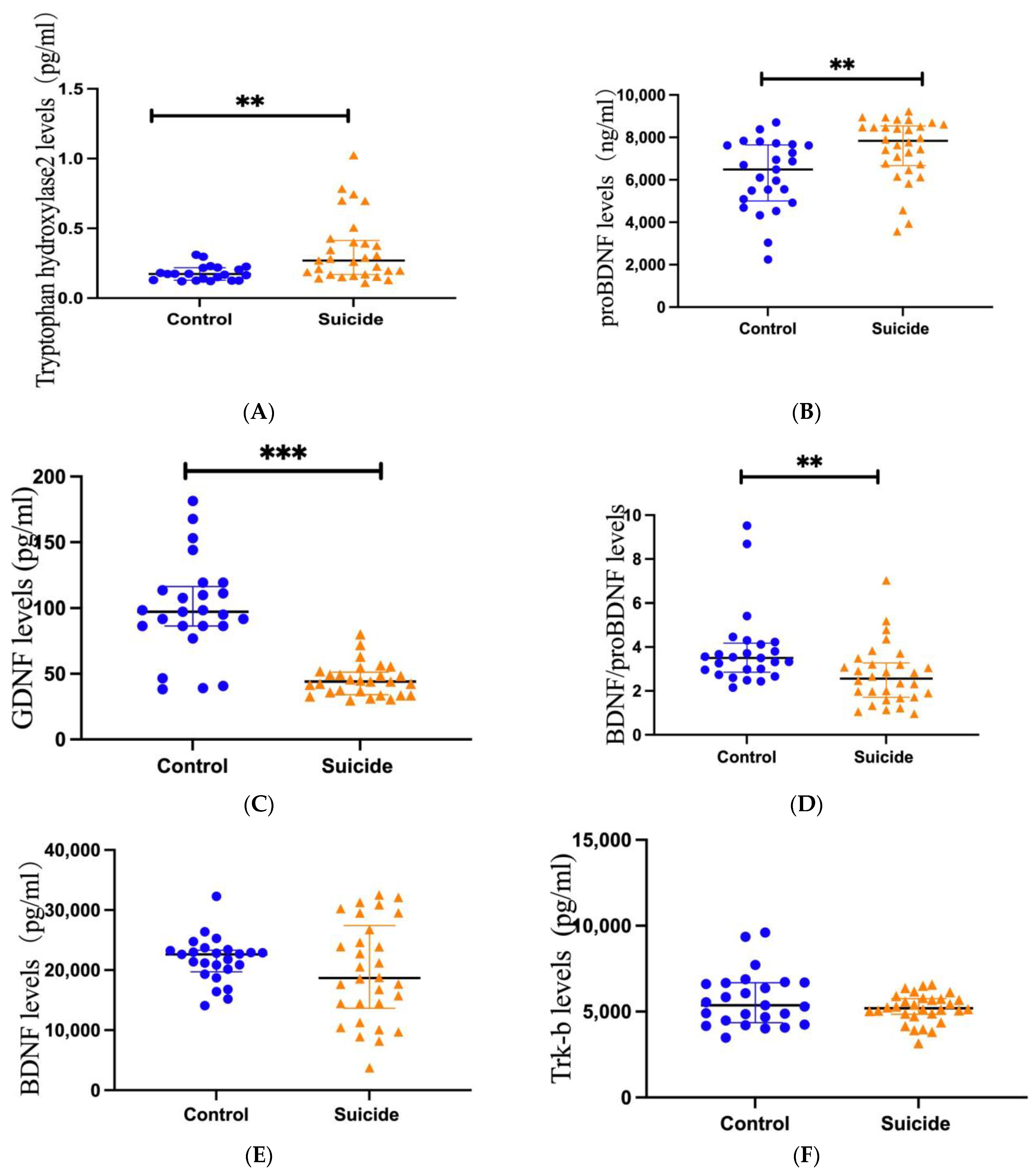 Brainsci 13 01096 g001 Brainsci 13 01096 g001