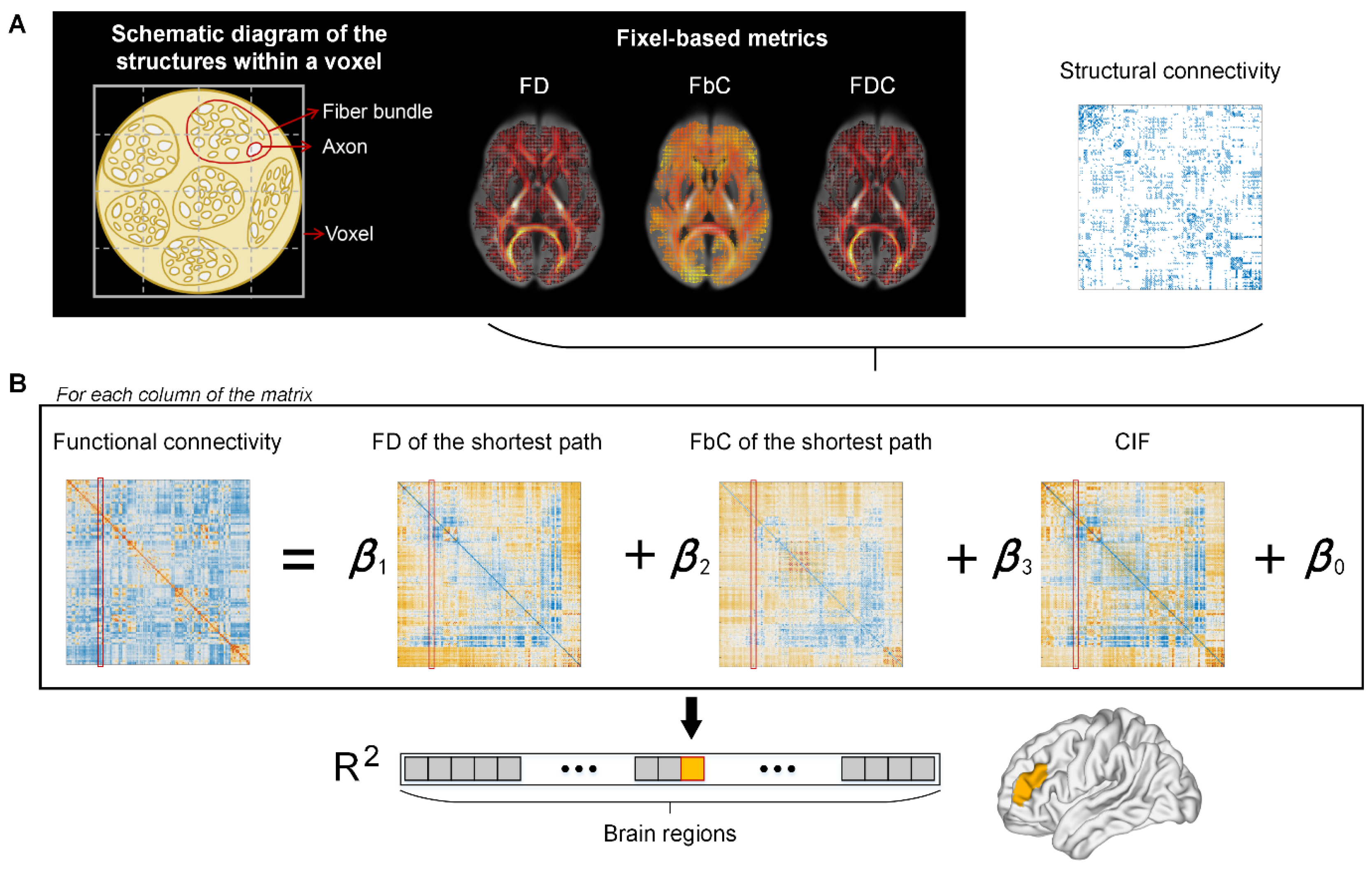 Brainsci 13 01098 g001