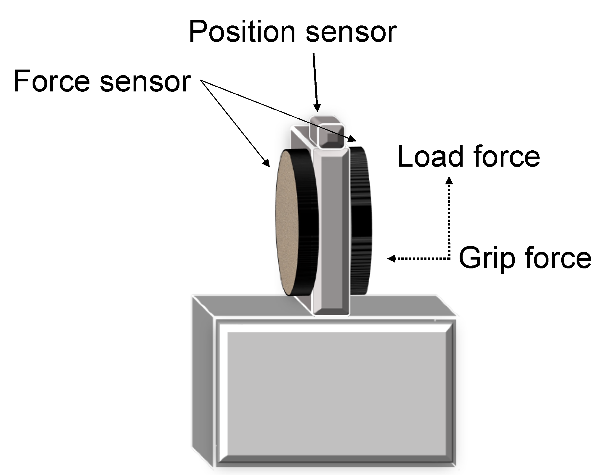 Brainsci 13 01102 g001