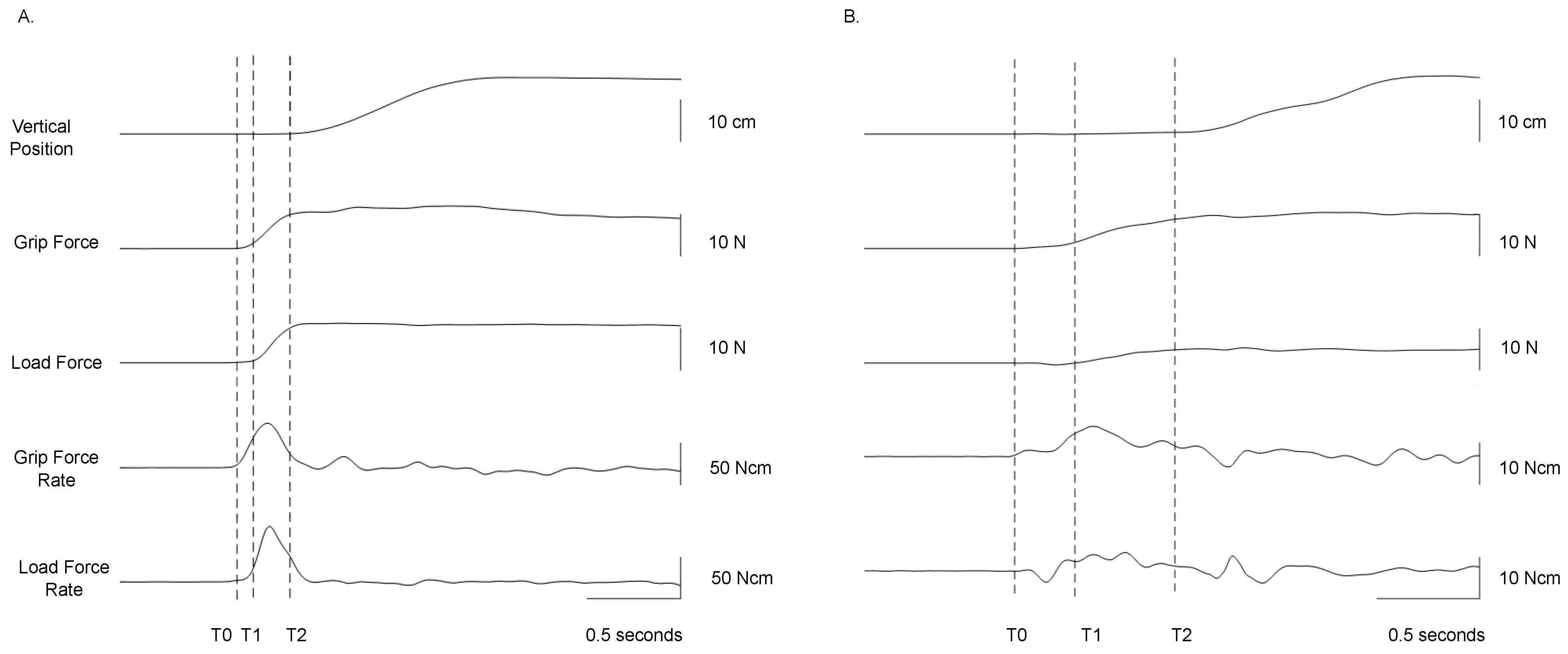Brainsci 13 01102 g002