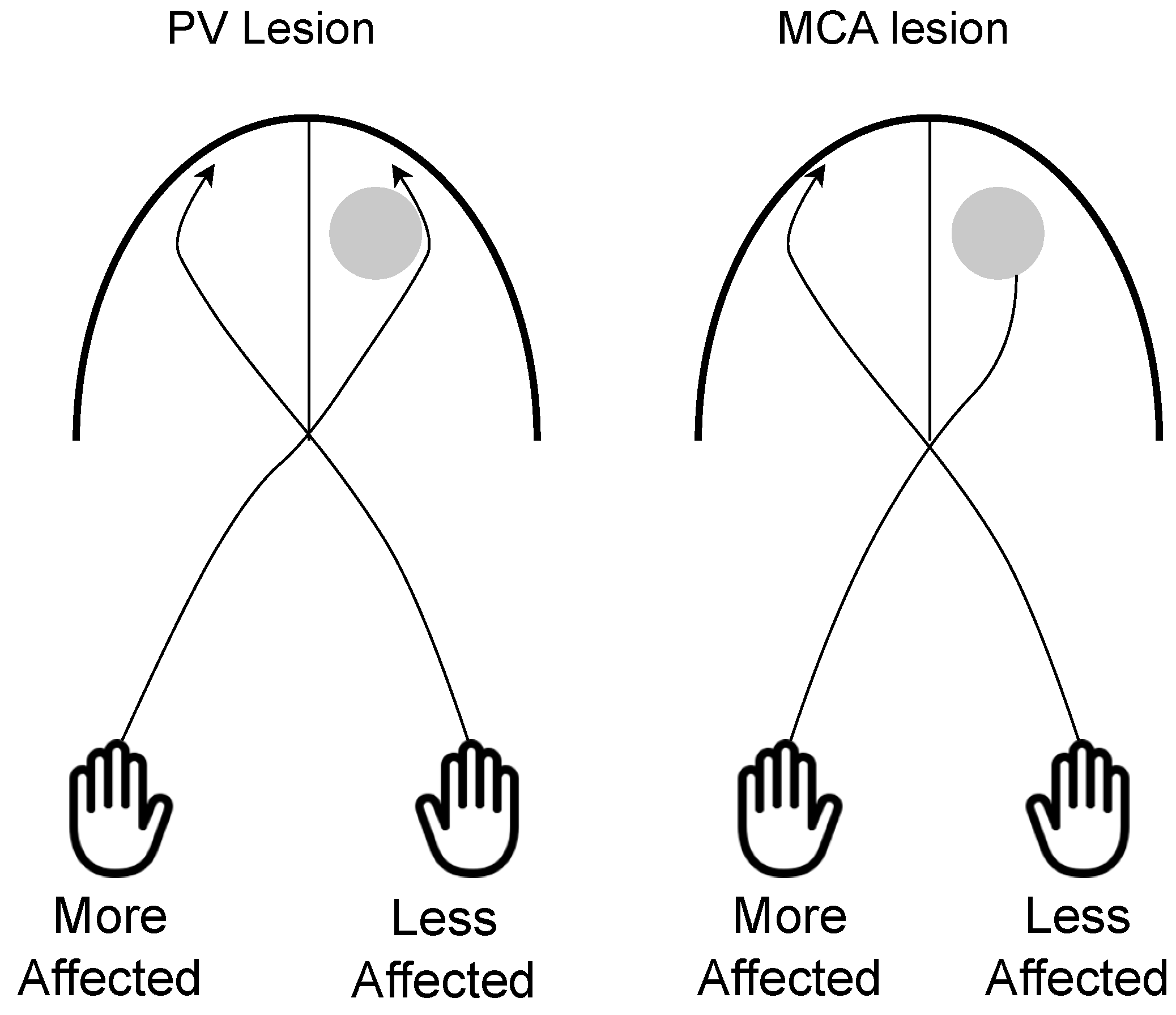 Brainsci 13 01102 g004