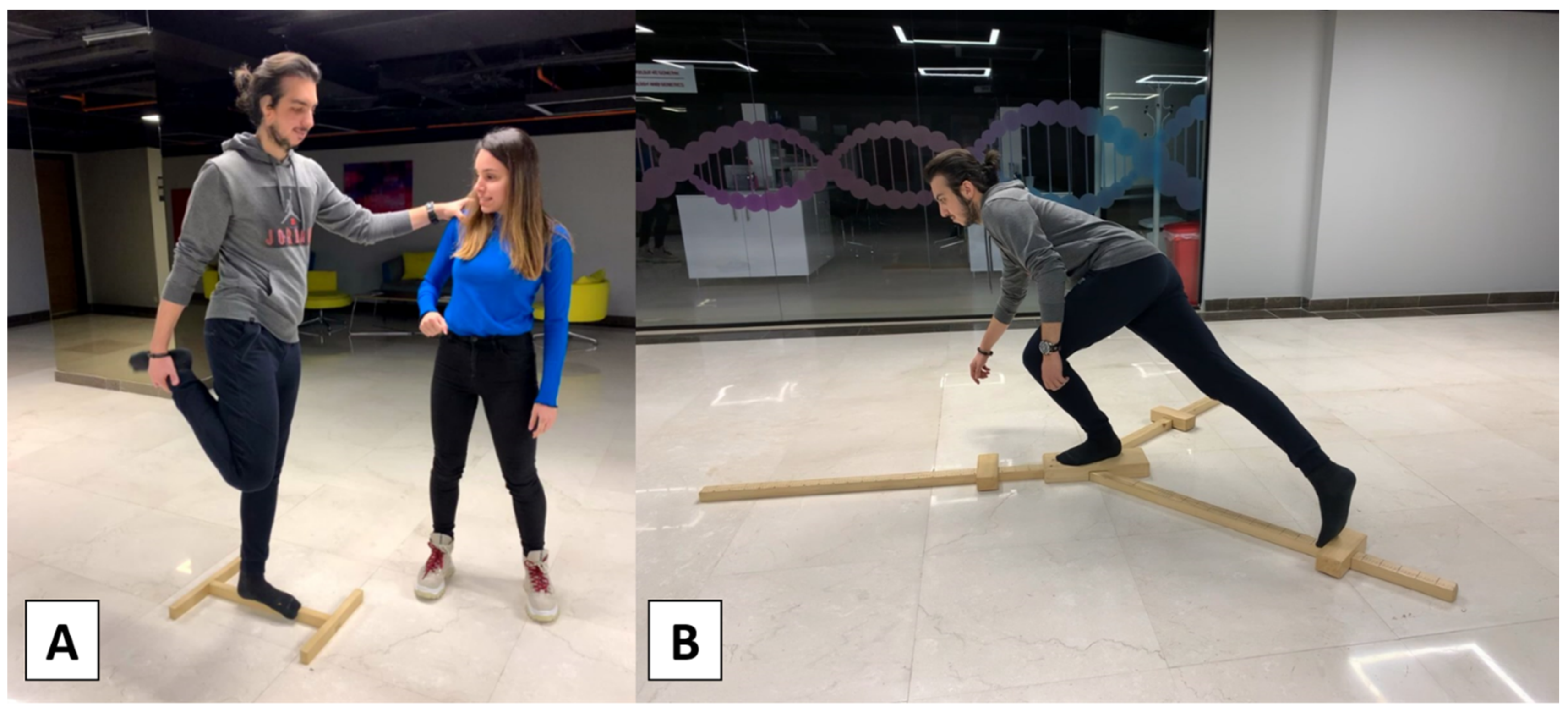 Brainsci 13 01107 g003 Brainsci 13 01107 g003