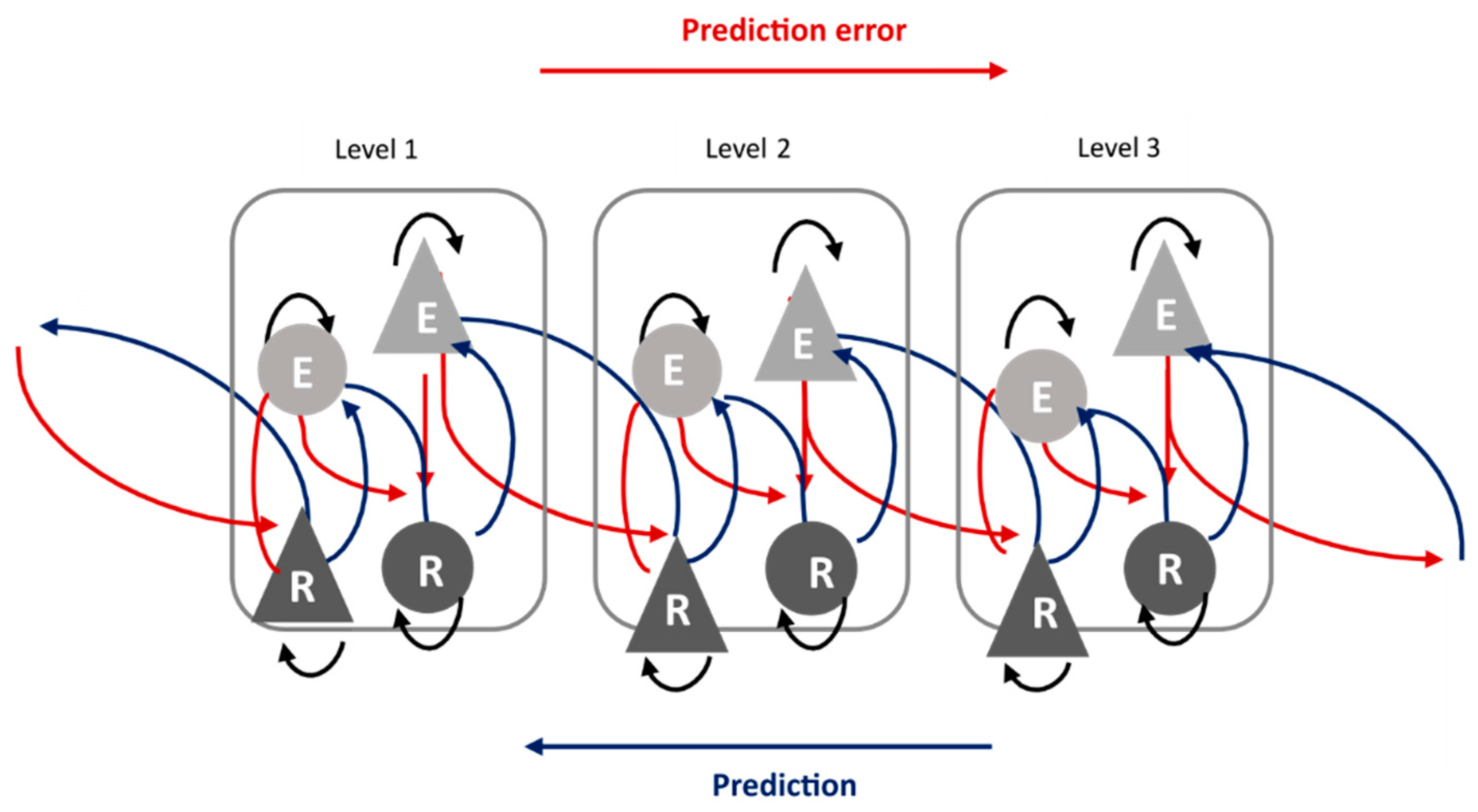 Brainsci 13 01110 g003 Brainsci 13 01110 g003