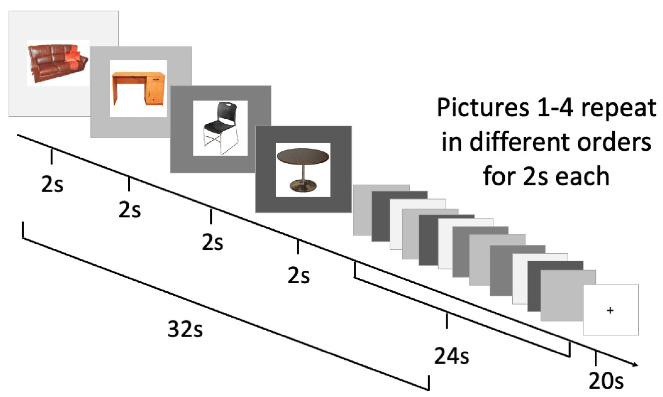 Brainsci 13 01113 g001 Brainsci 13 01113 g001