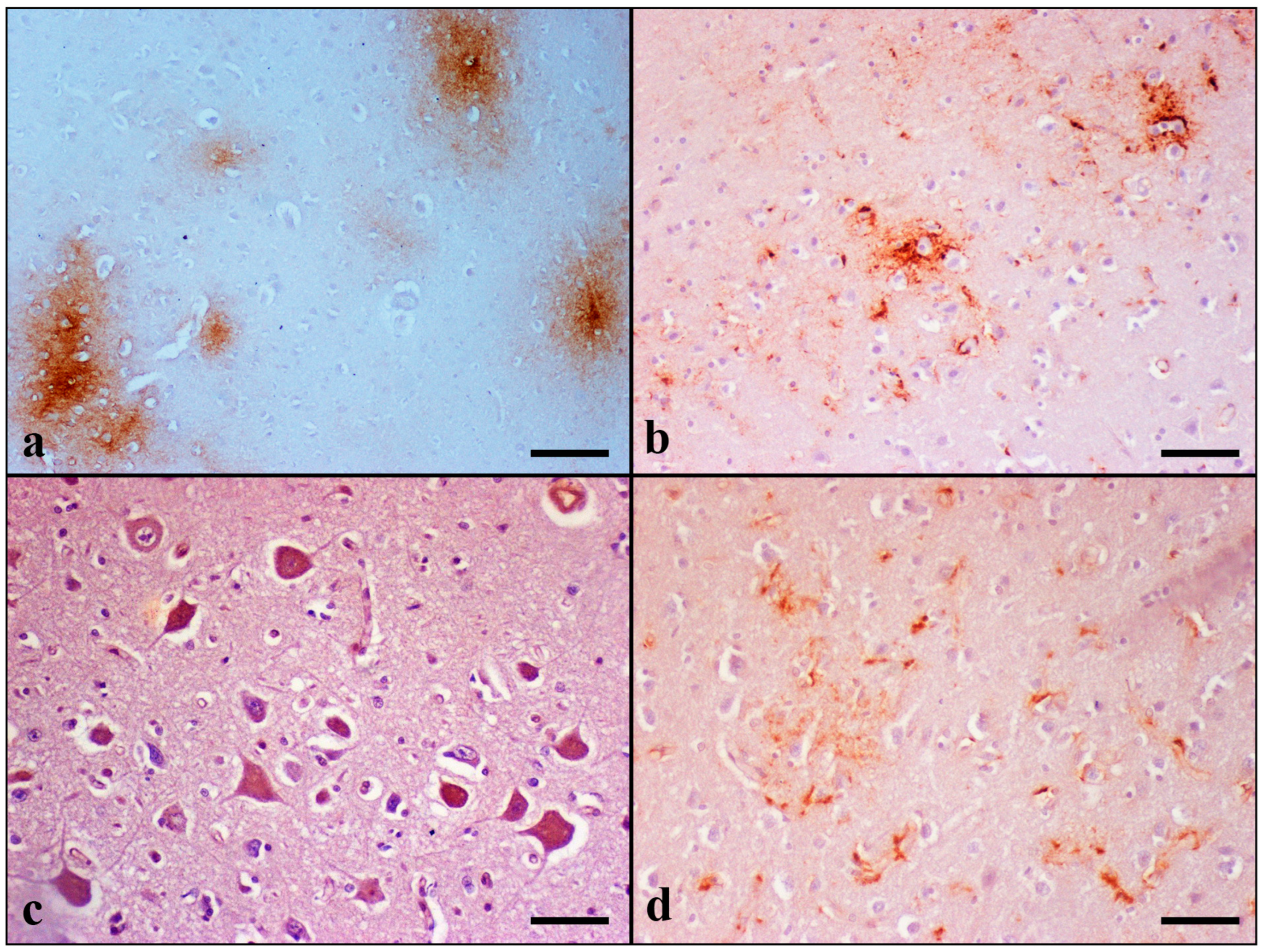 Brainsci 13 01115 g004