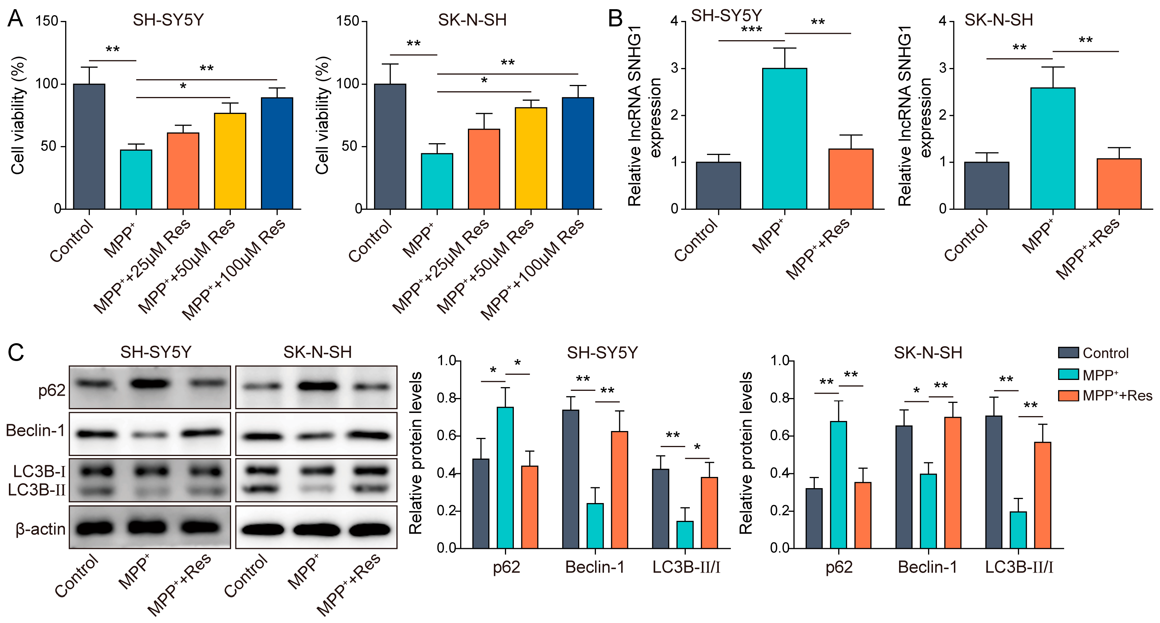 Brainsci 13 01124 g001 Brainsci 13 01124 g001