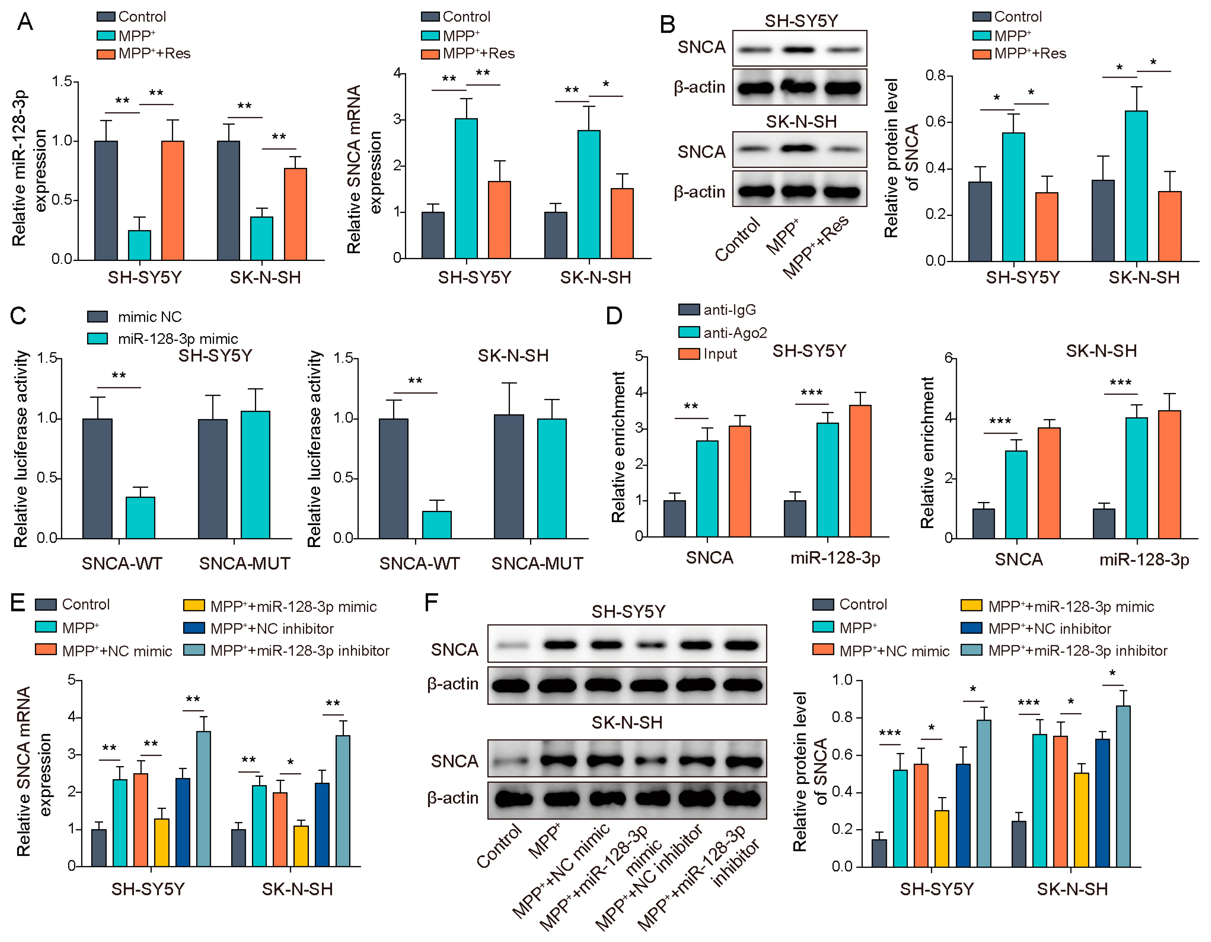 Brainsci 13 01124 g004 Brainsci 13 01124 g004