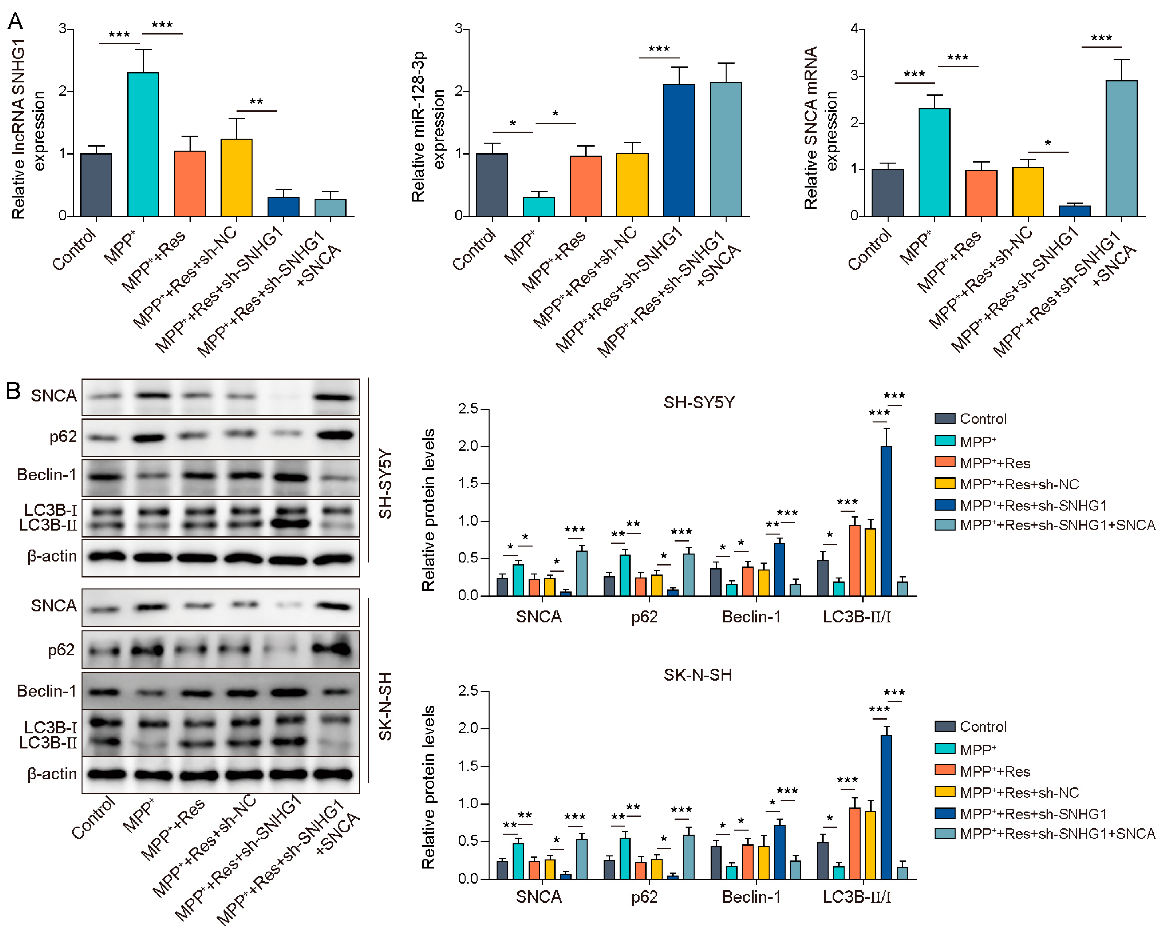 Brainsci 13 01124 g005 Brainsci 13 01124 g005