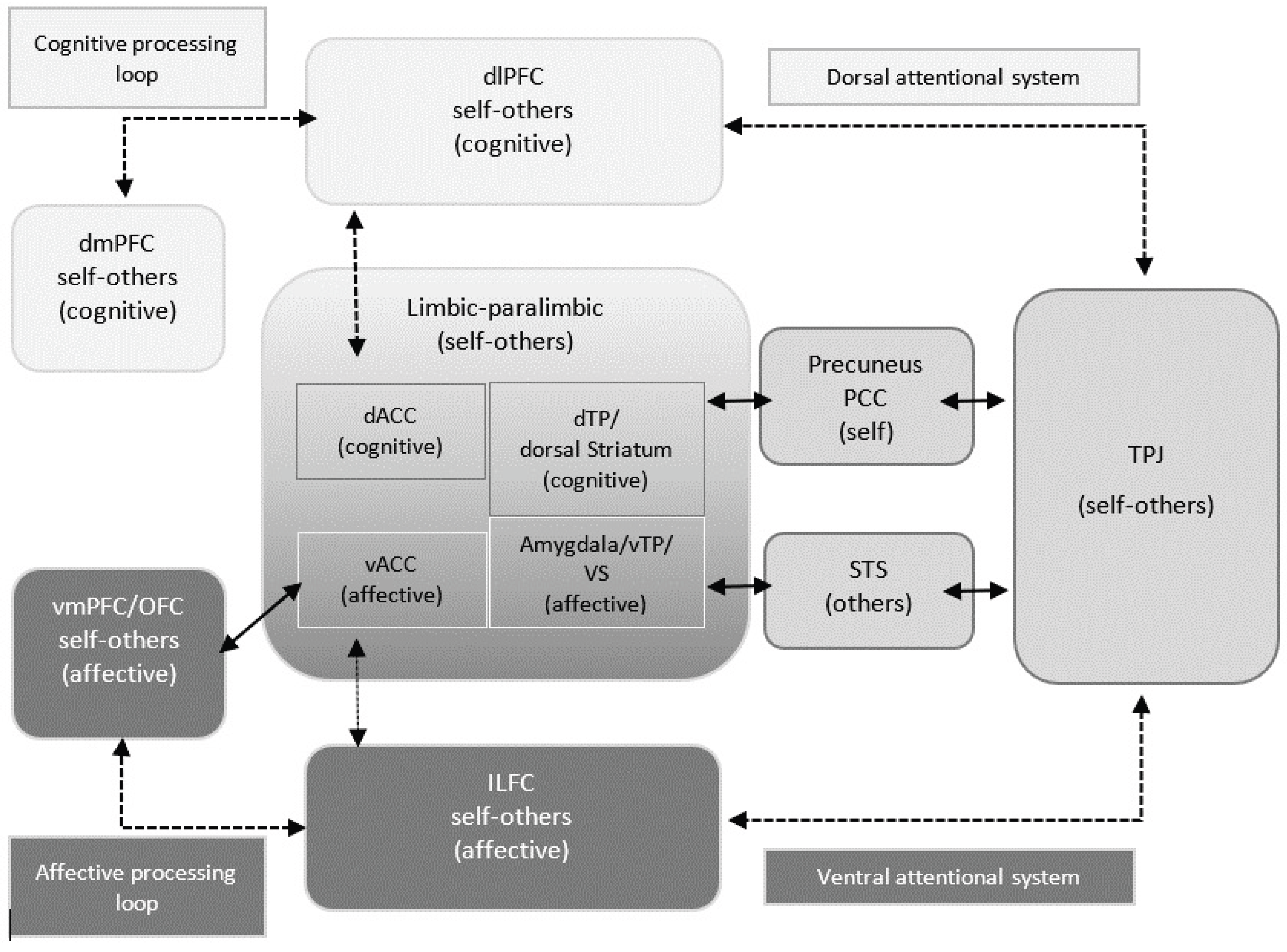 Brainsci 13 01125 g006