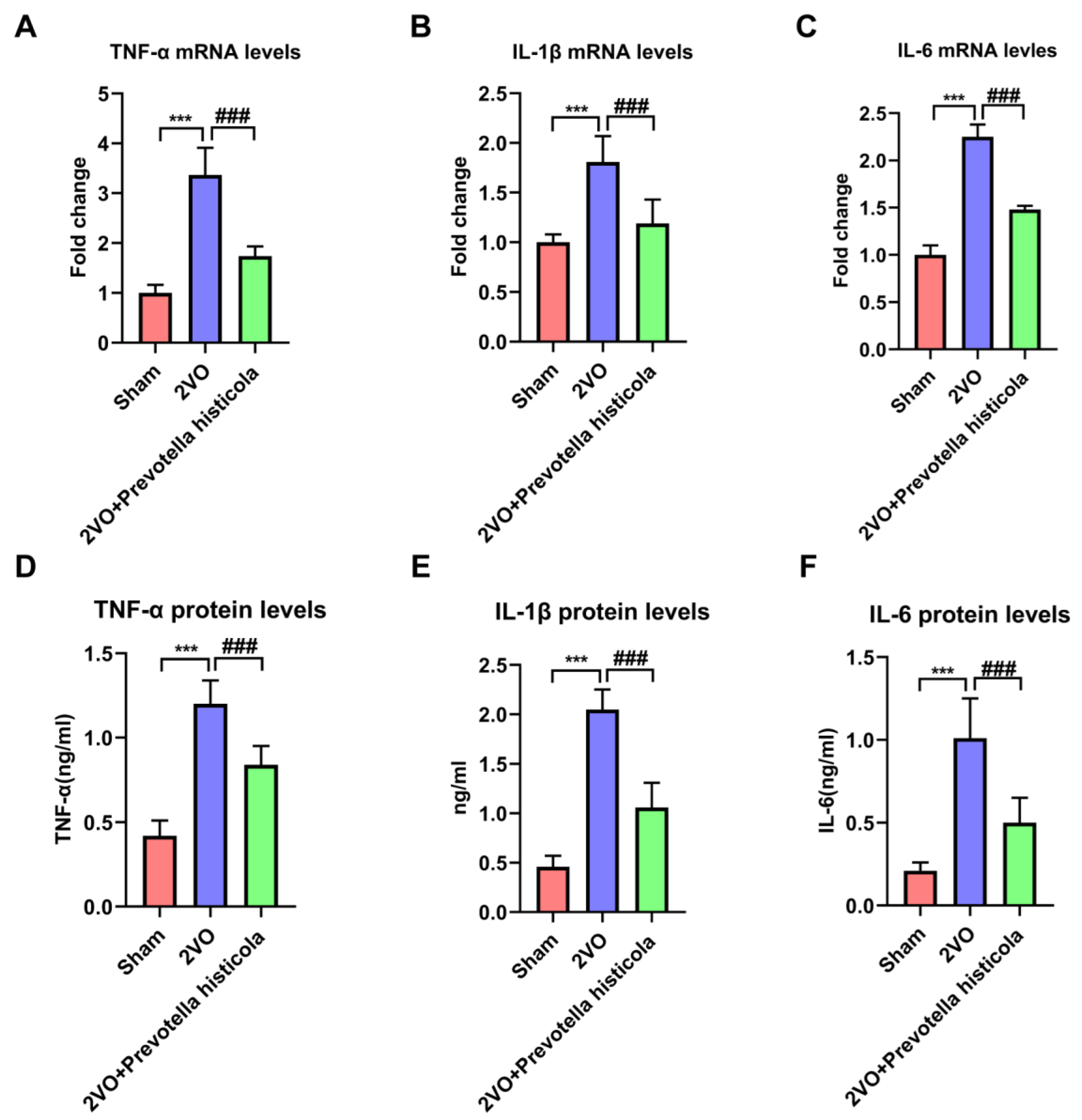 Brainsci 13 01136 g005