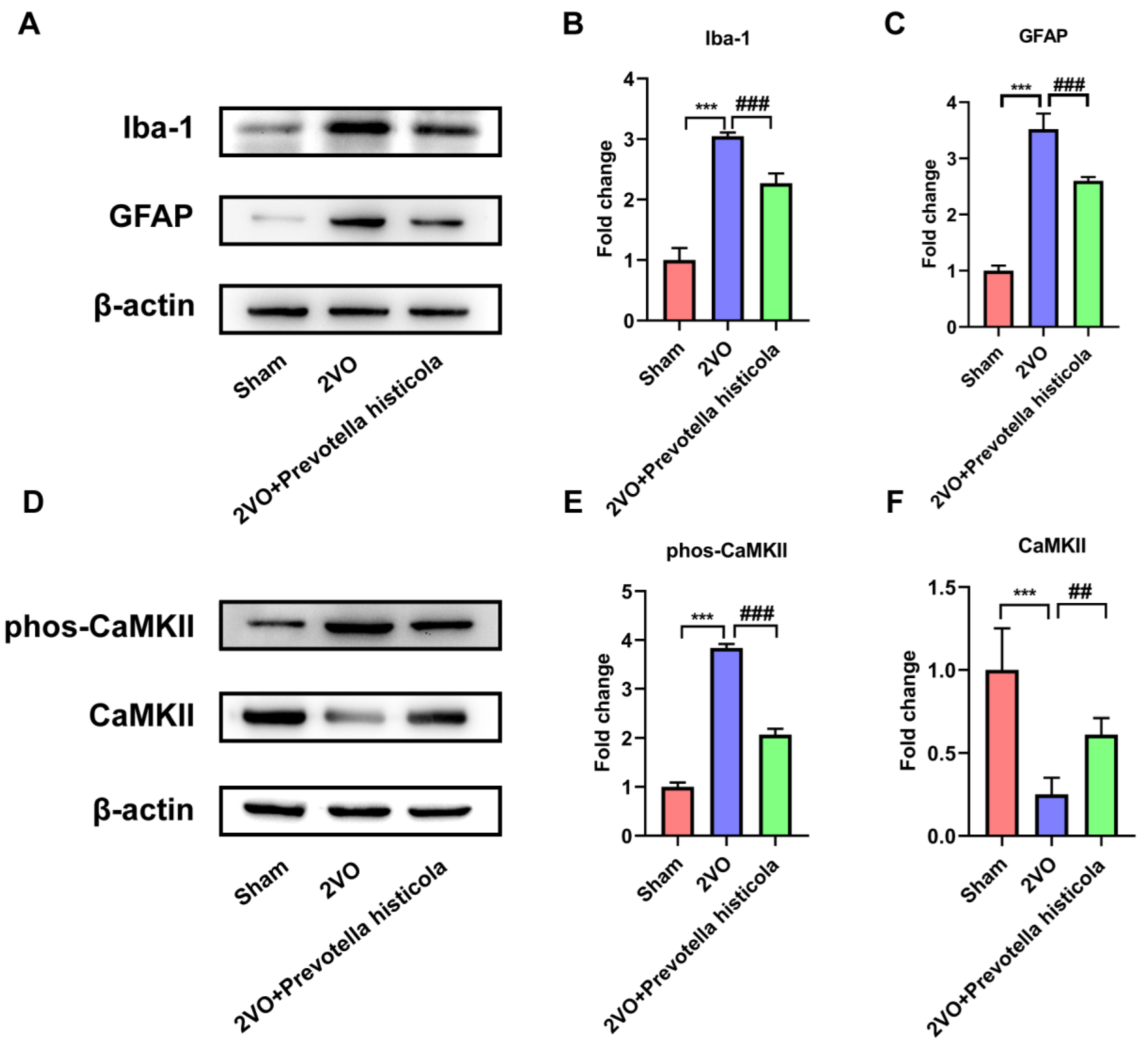 Brainsci 13 01136 g006